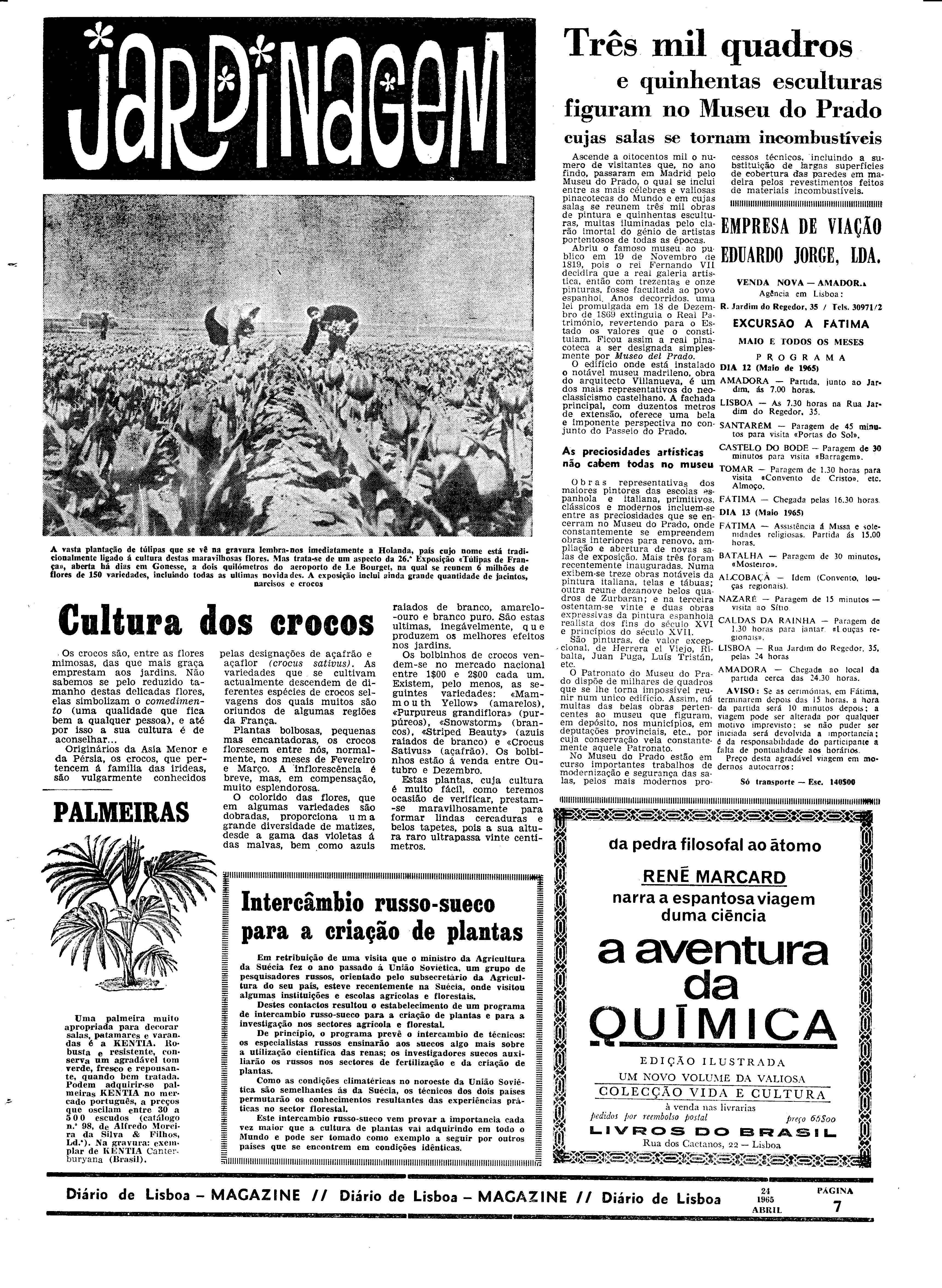 06559.097.19515- pag.31