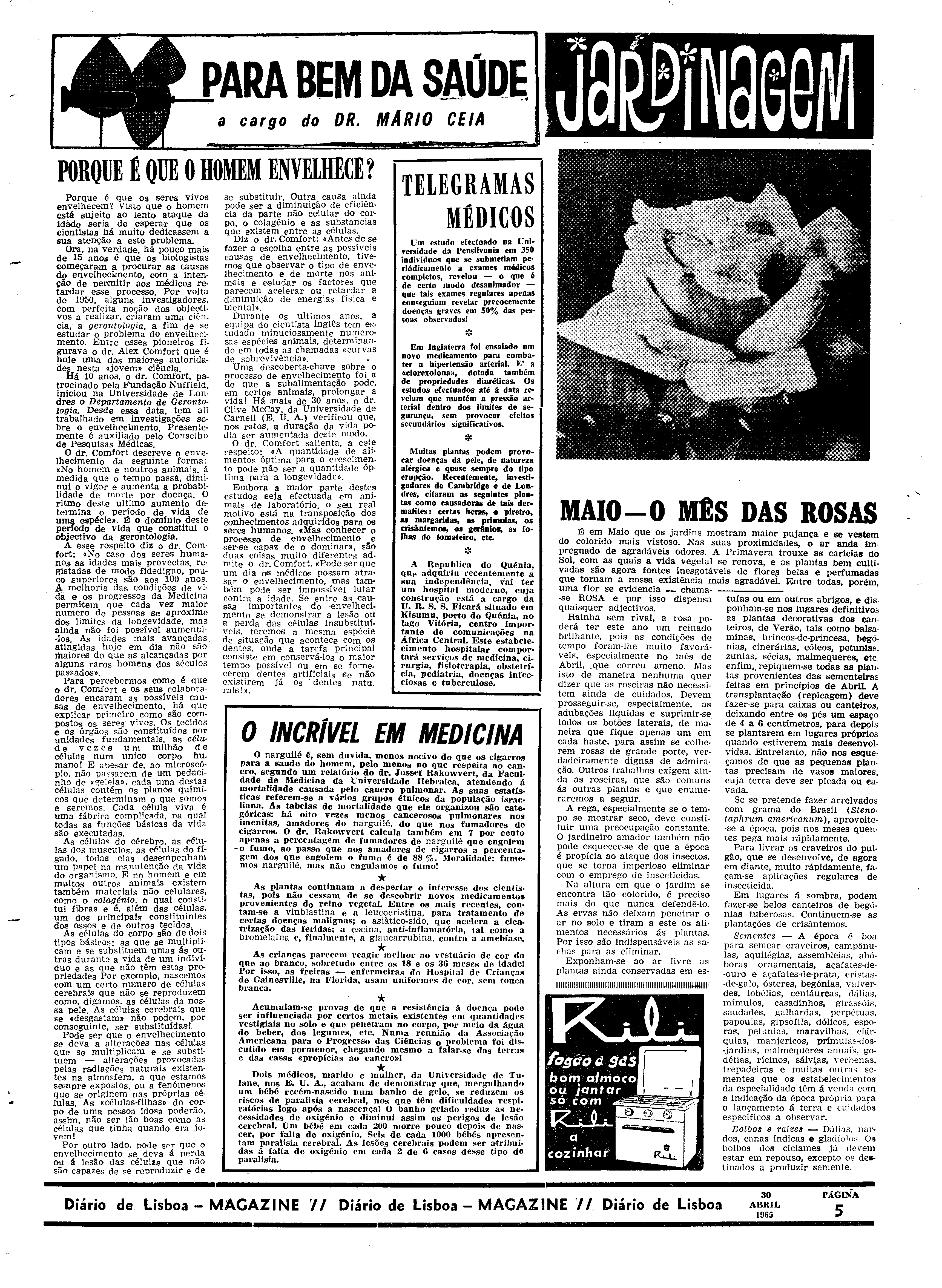 06559.097.19528- pag.33
