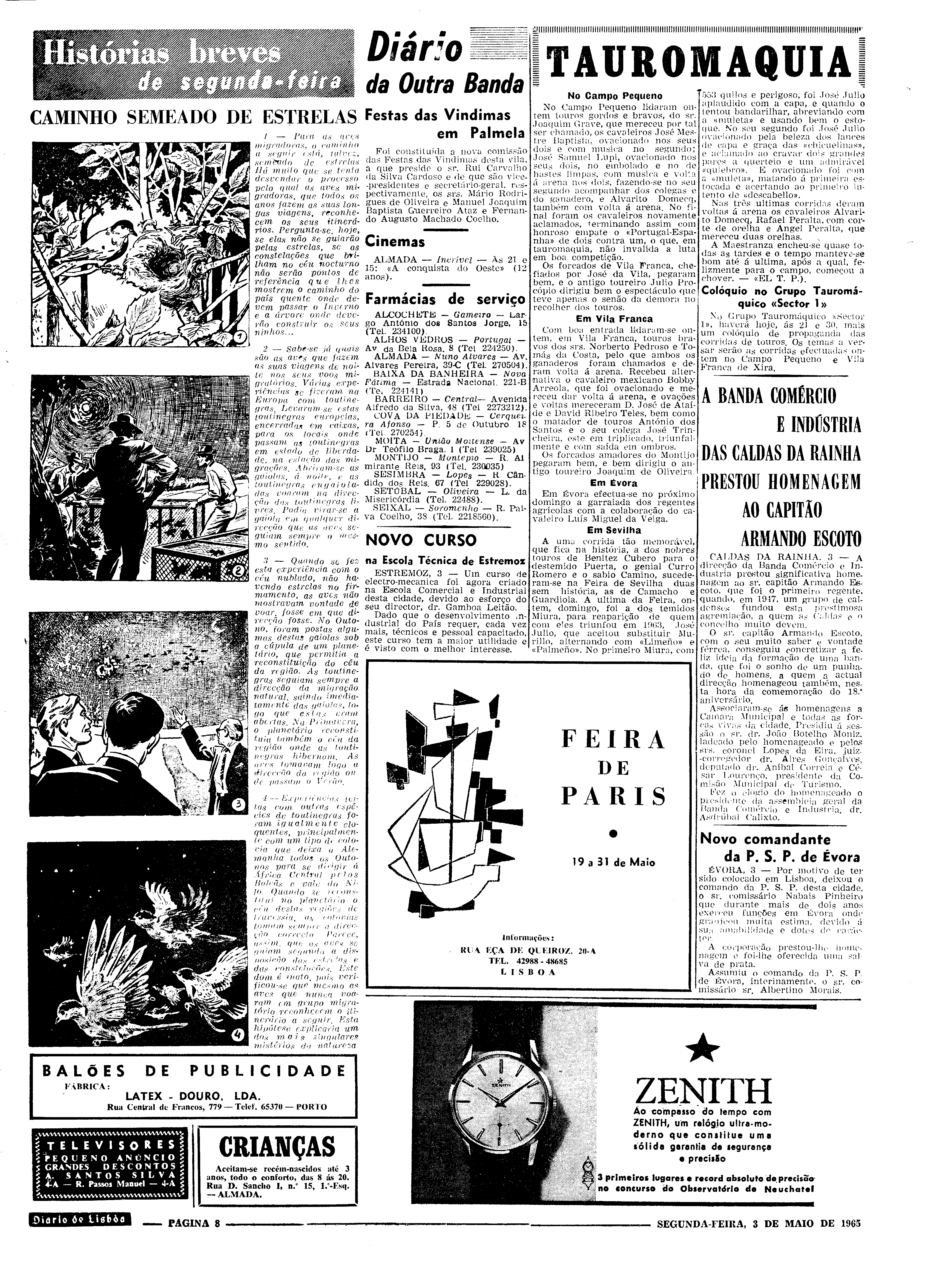 06559.097.19534- pag.8