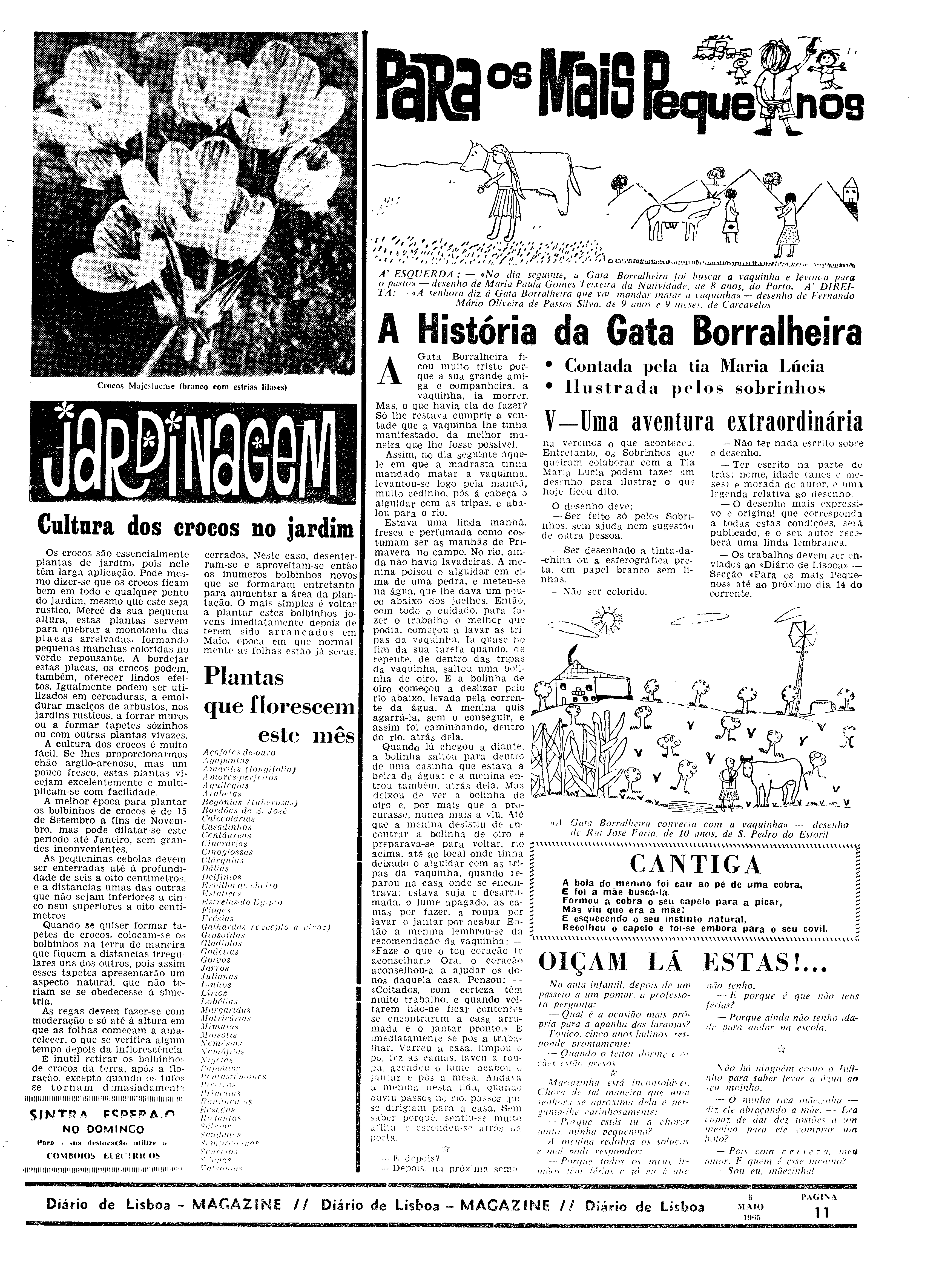 06559.097.19544- pag.31