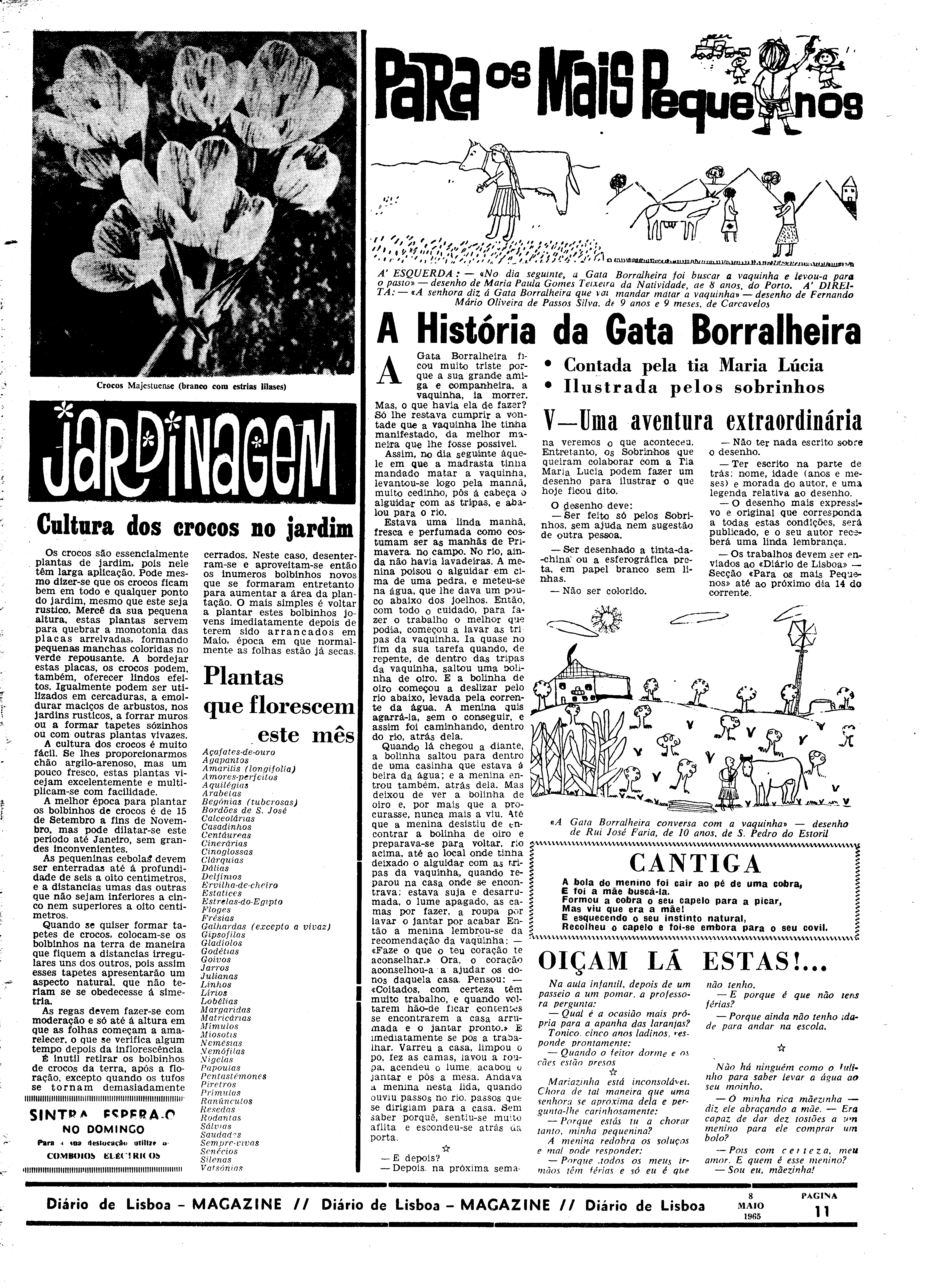 06559.097.19545- pag.31