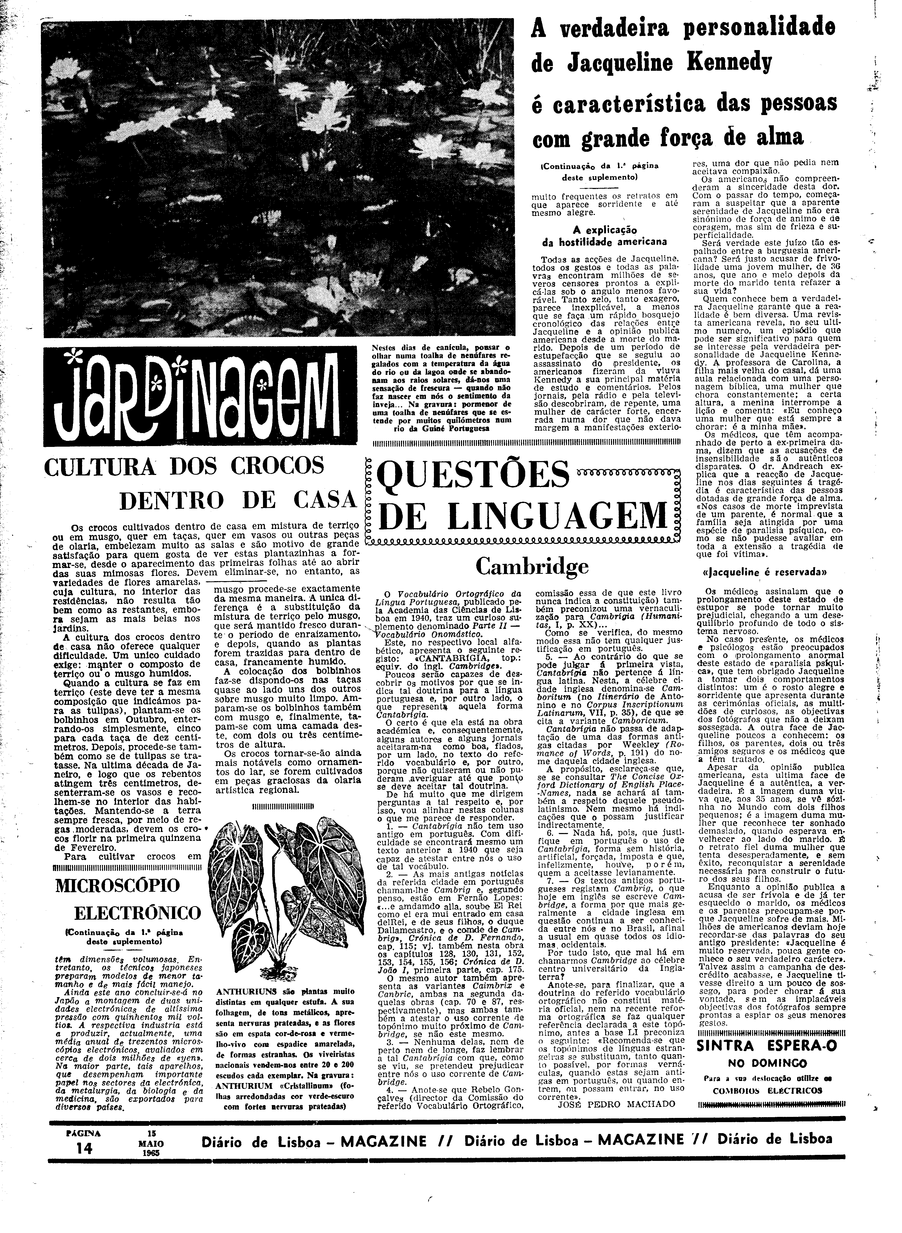 06559.097.19561- pag.38