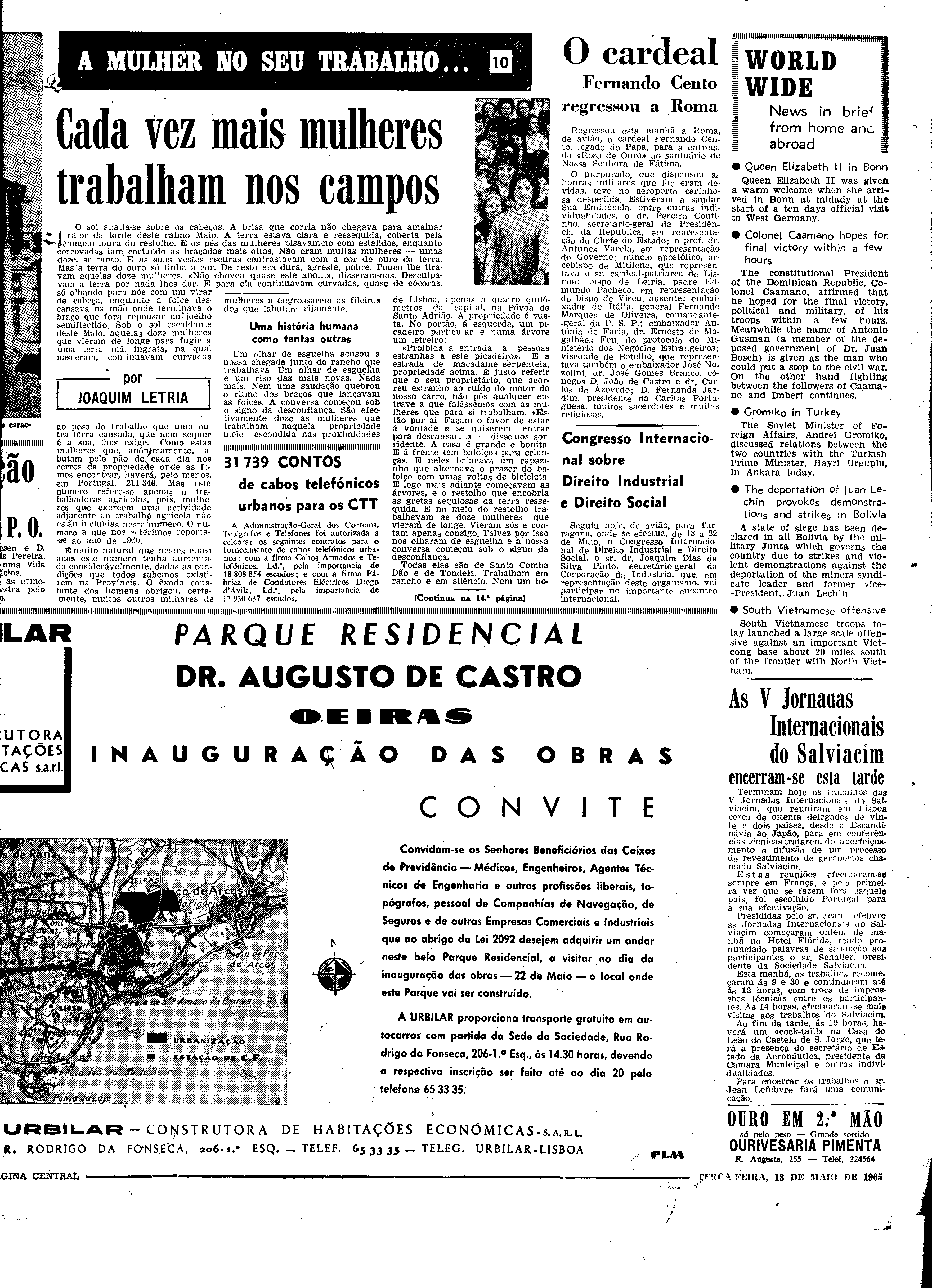 06560.098.19567- pag.13