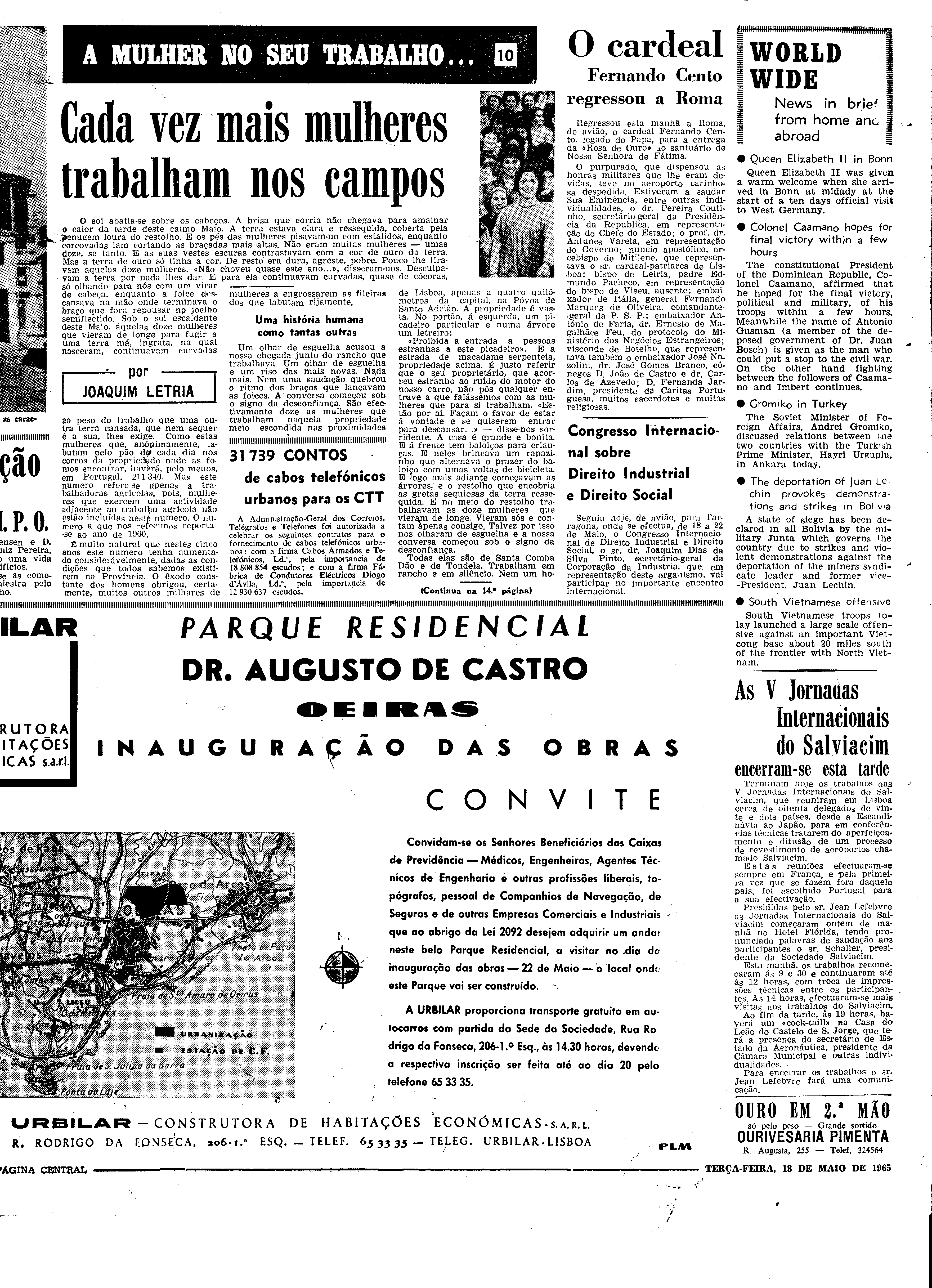 06560.098.19568- pag.13