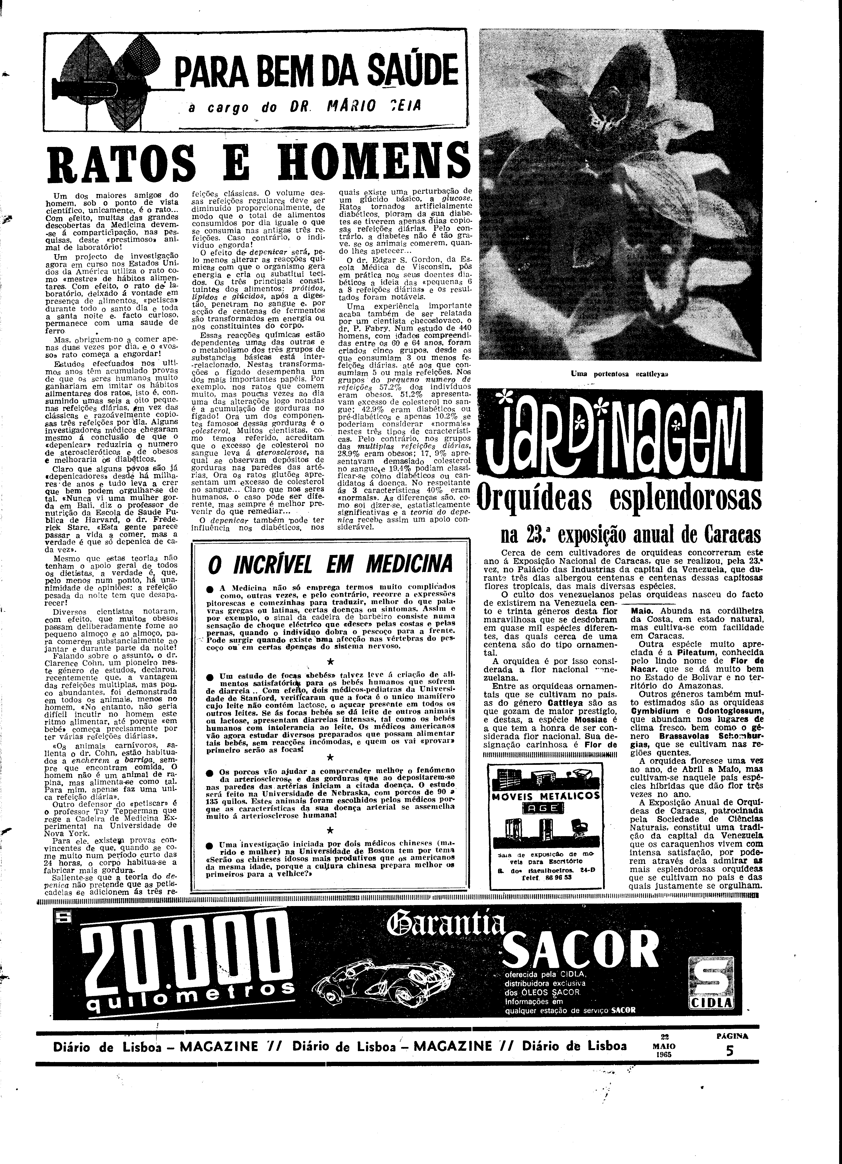 06560.098.19576- pag.29