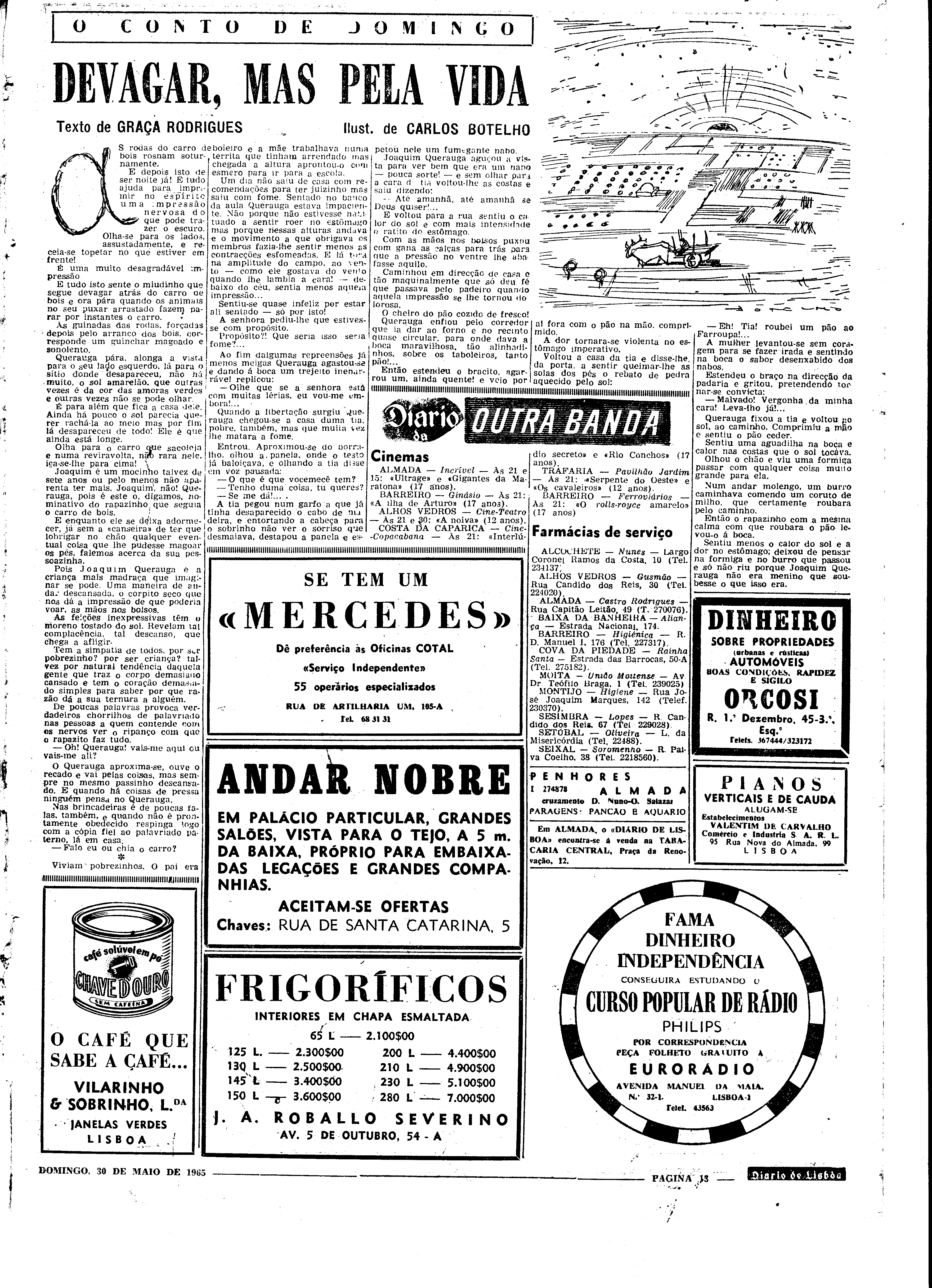 06560.098.19596- pag.13