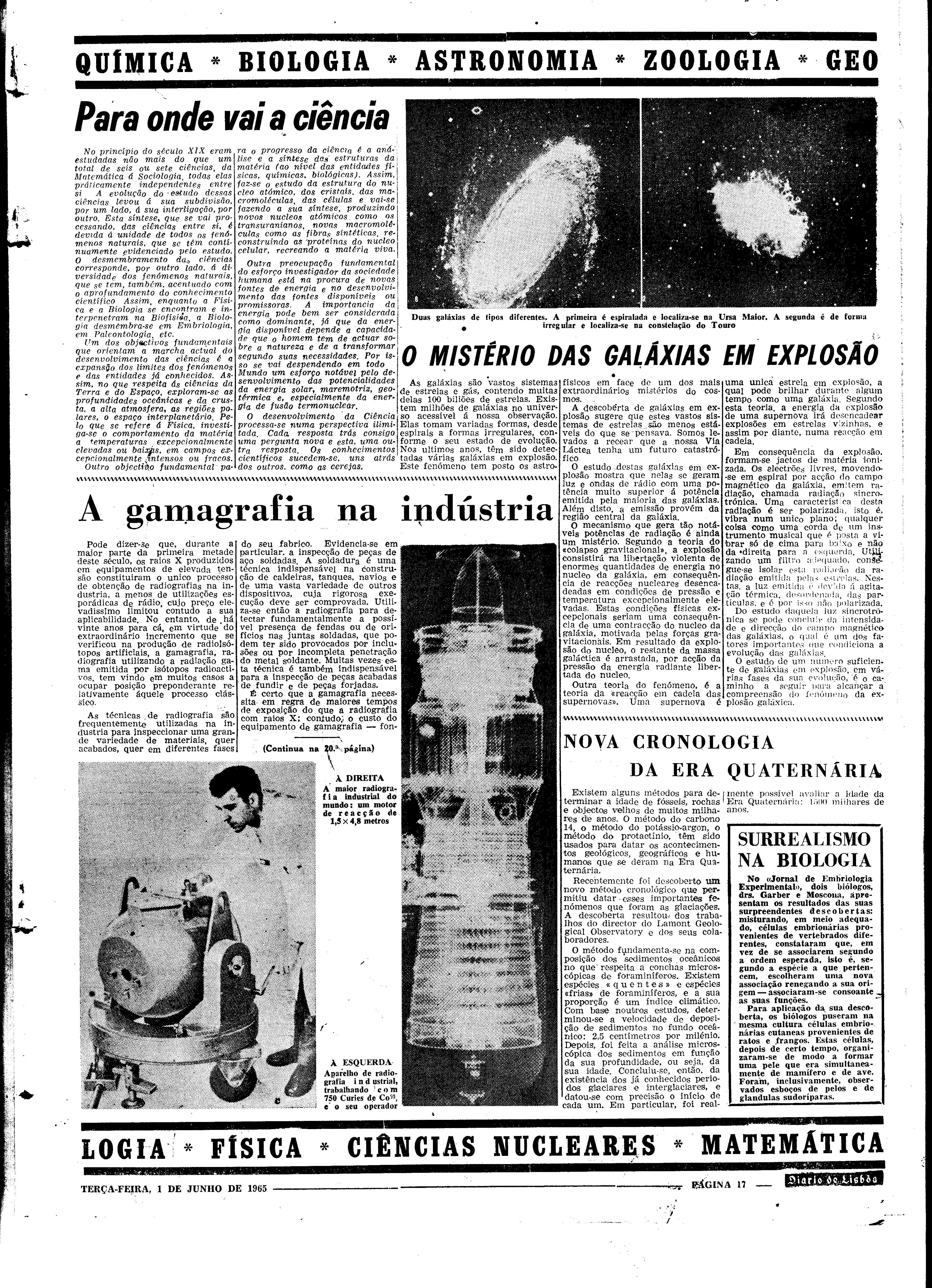 06560.098.19600- pag.17