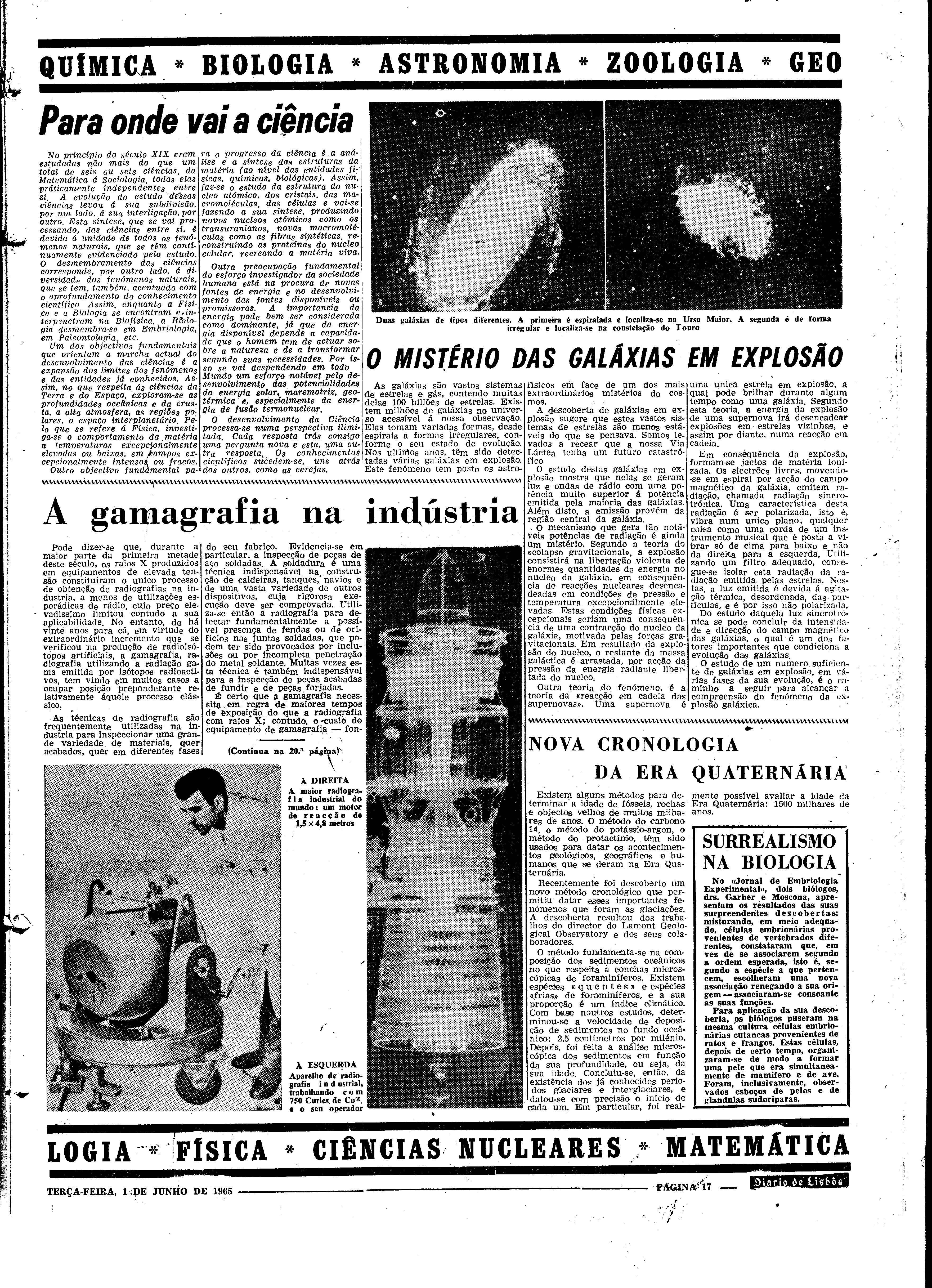 06560.098.19601- pag.17