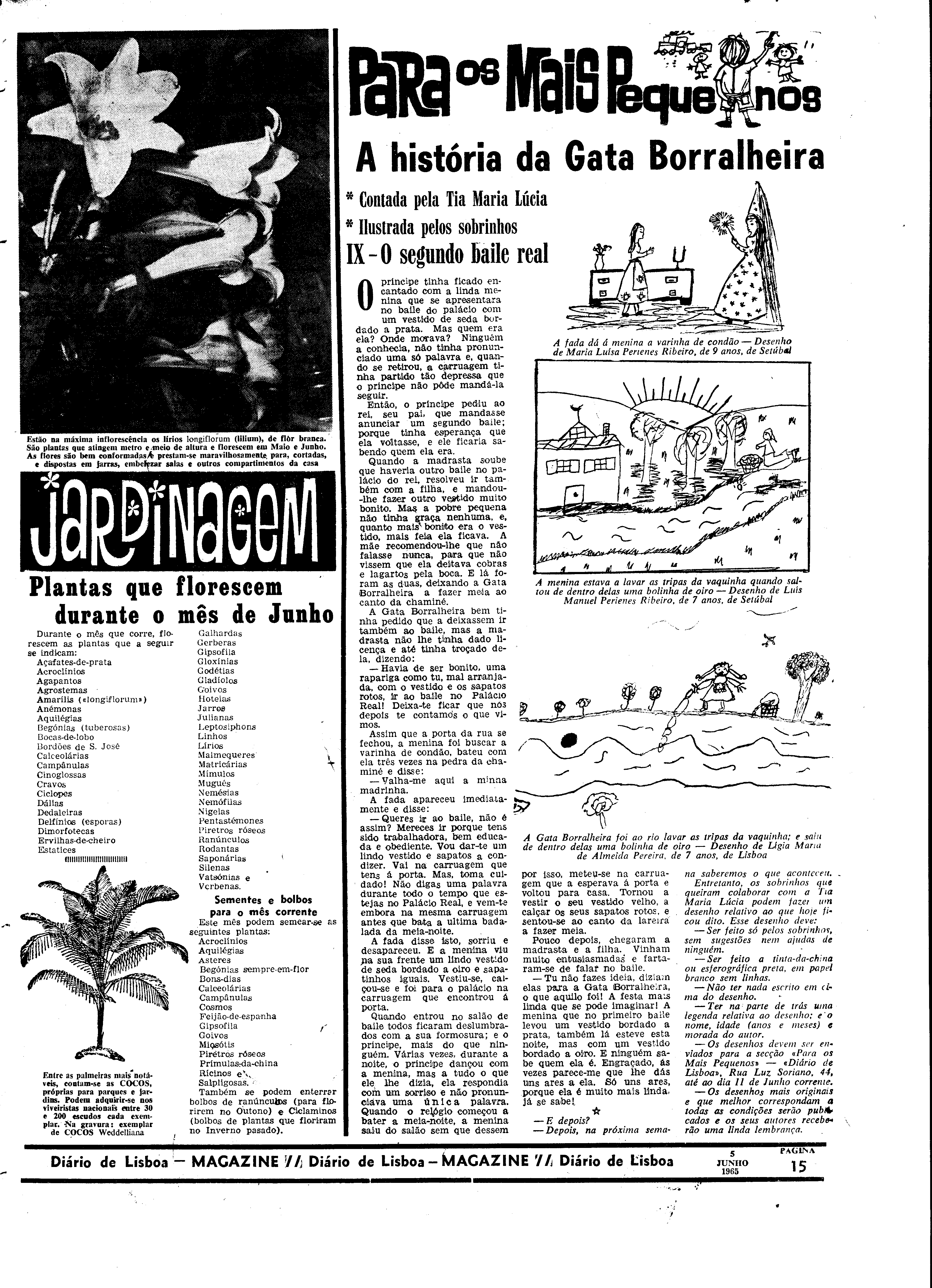 06560.098.19608- pag.39