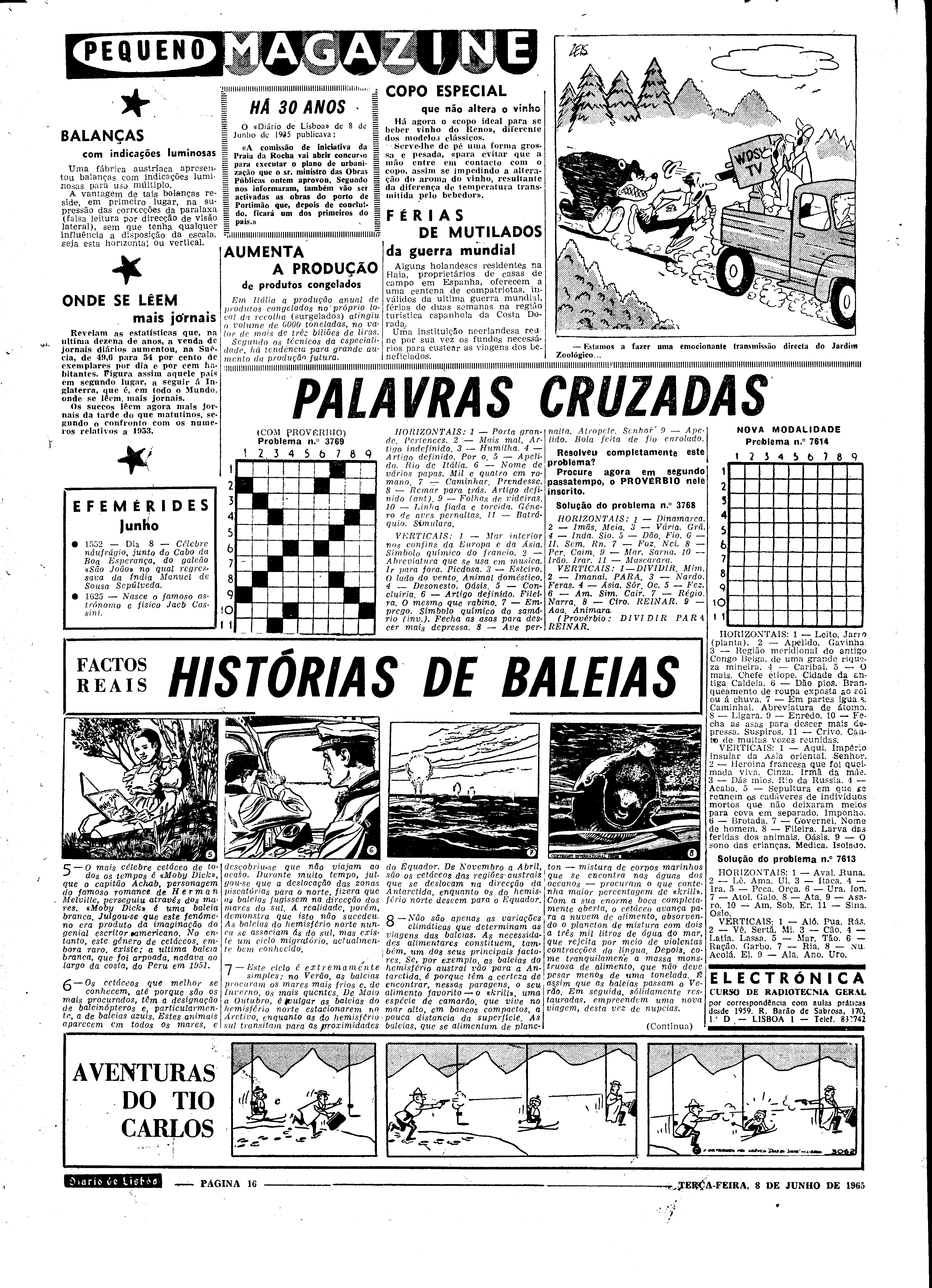 06560.098.19615- pag.16