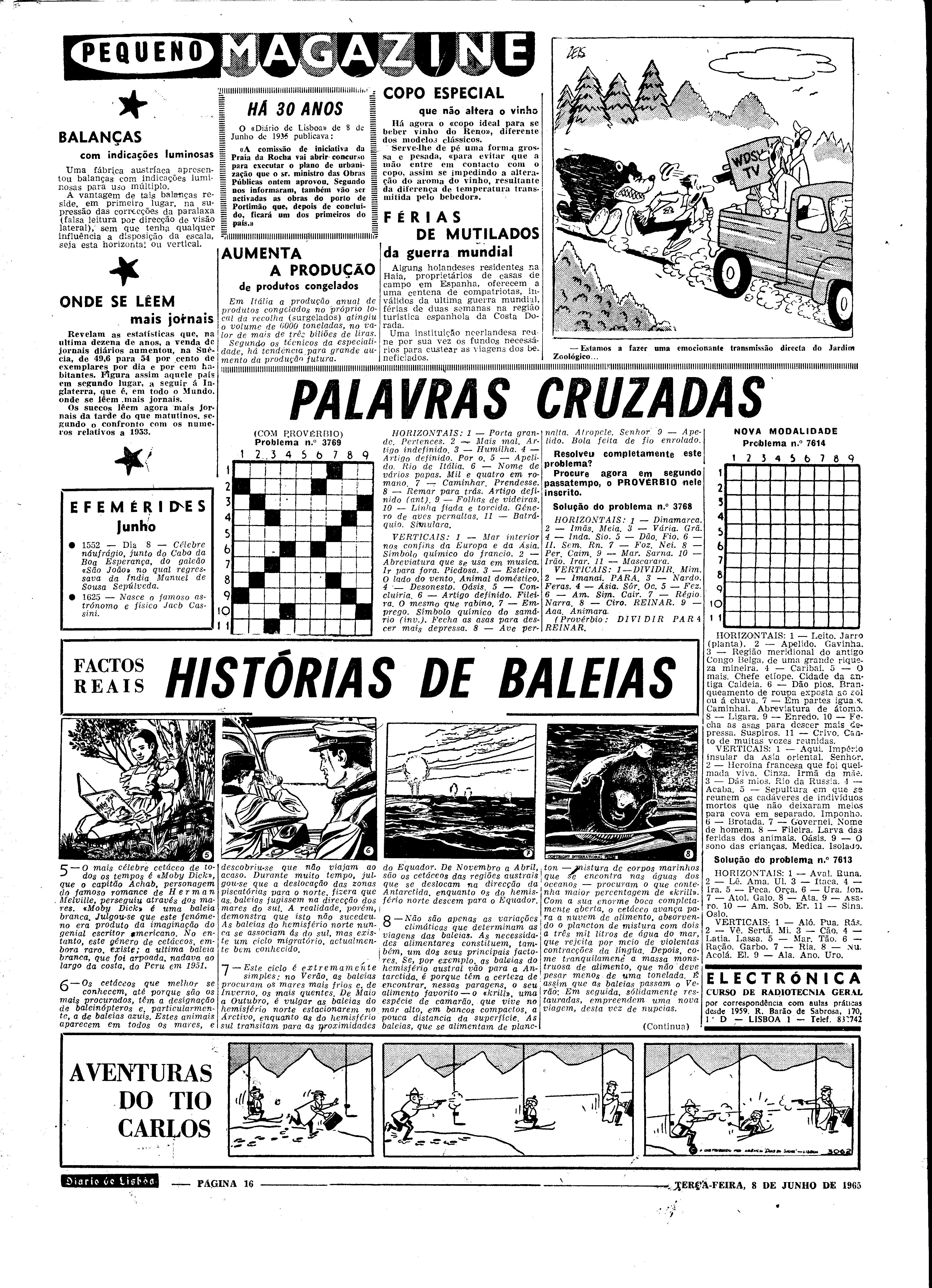 06560.098.19616- pag.16