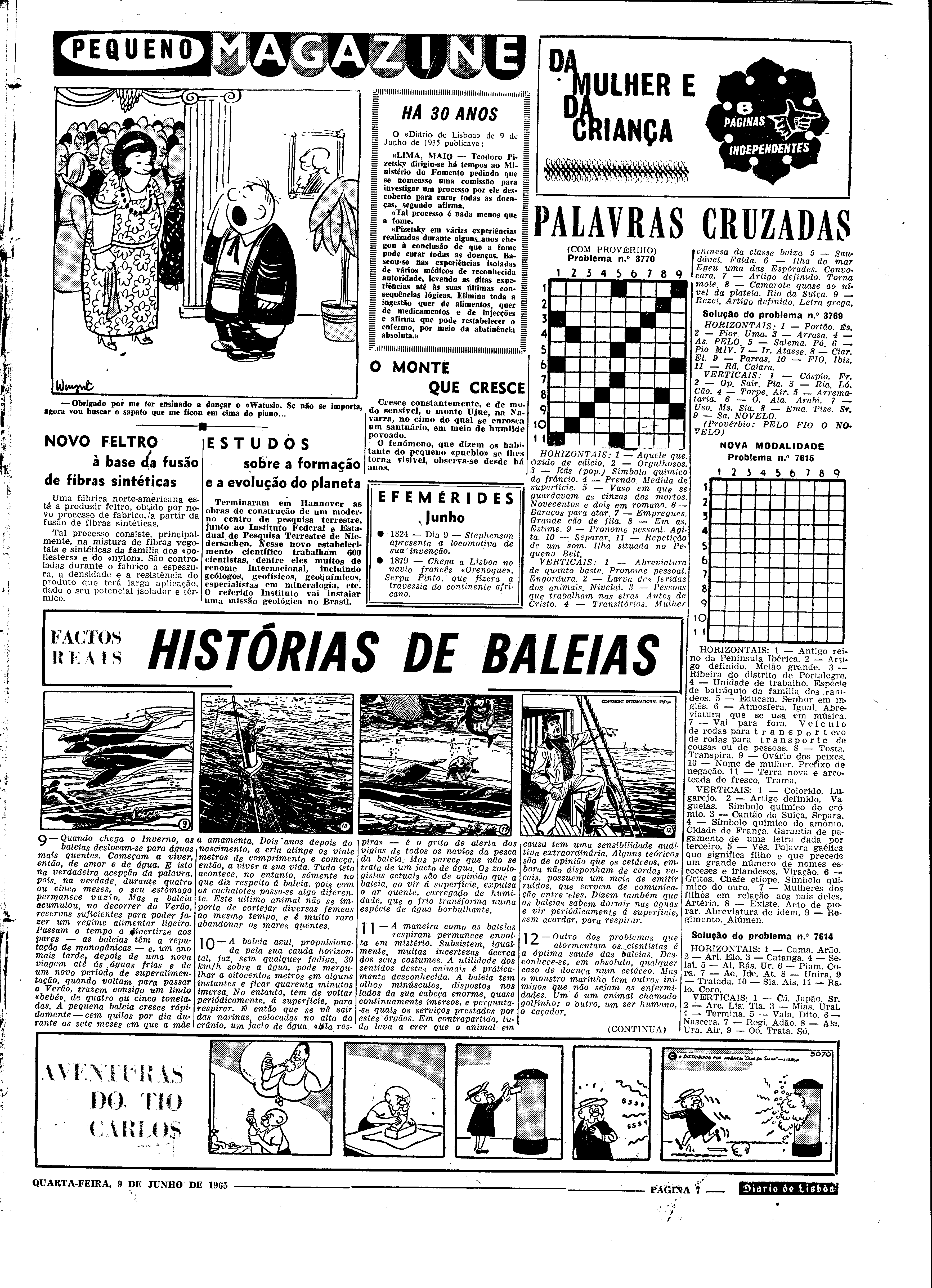 06560.098.19619- pag.35