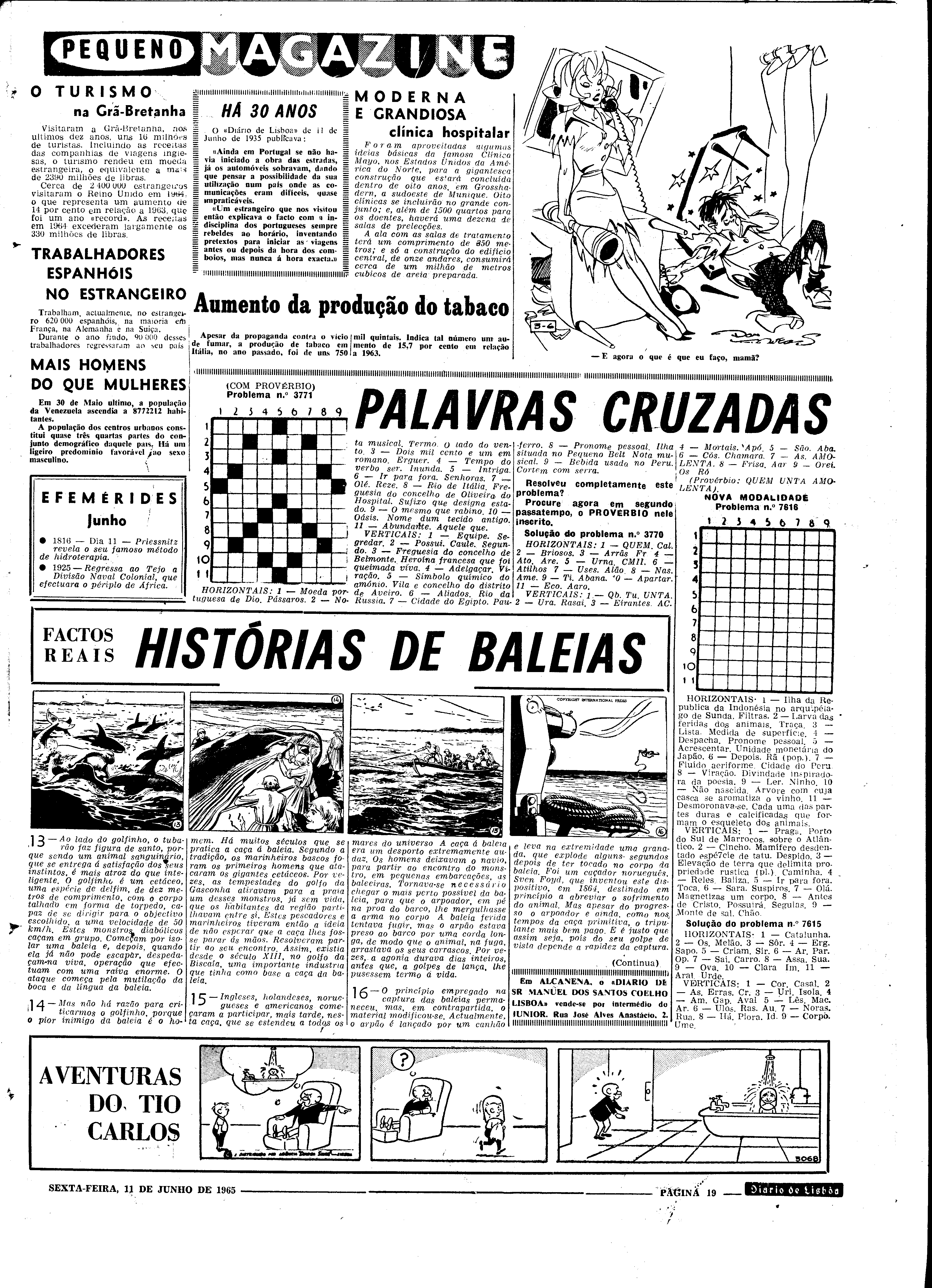06560.098.19622- pag.19