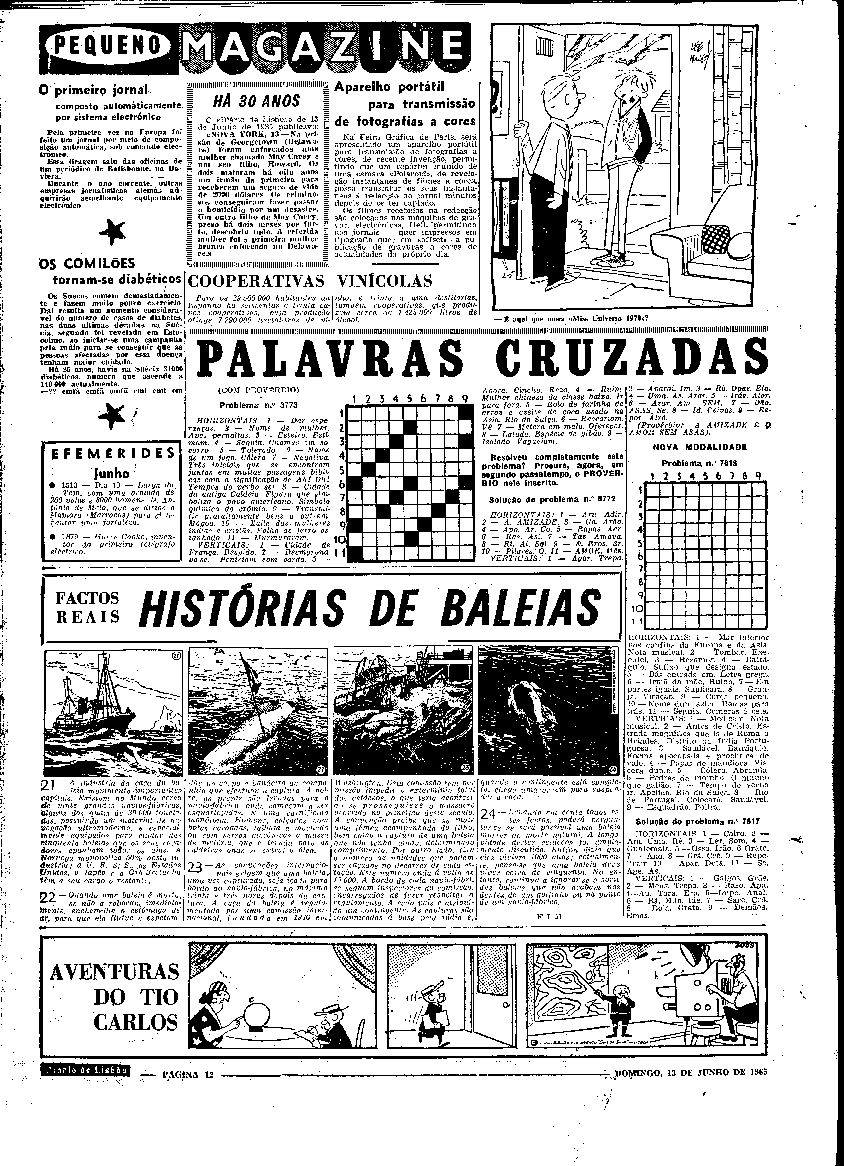 06560.098.19626- pag.12