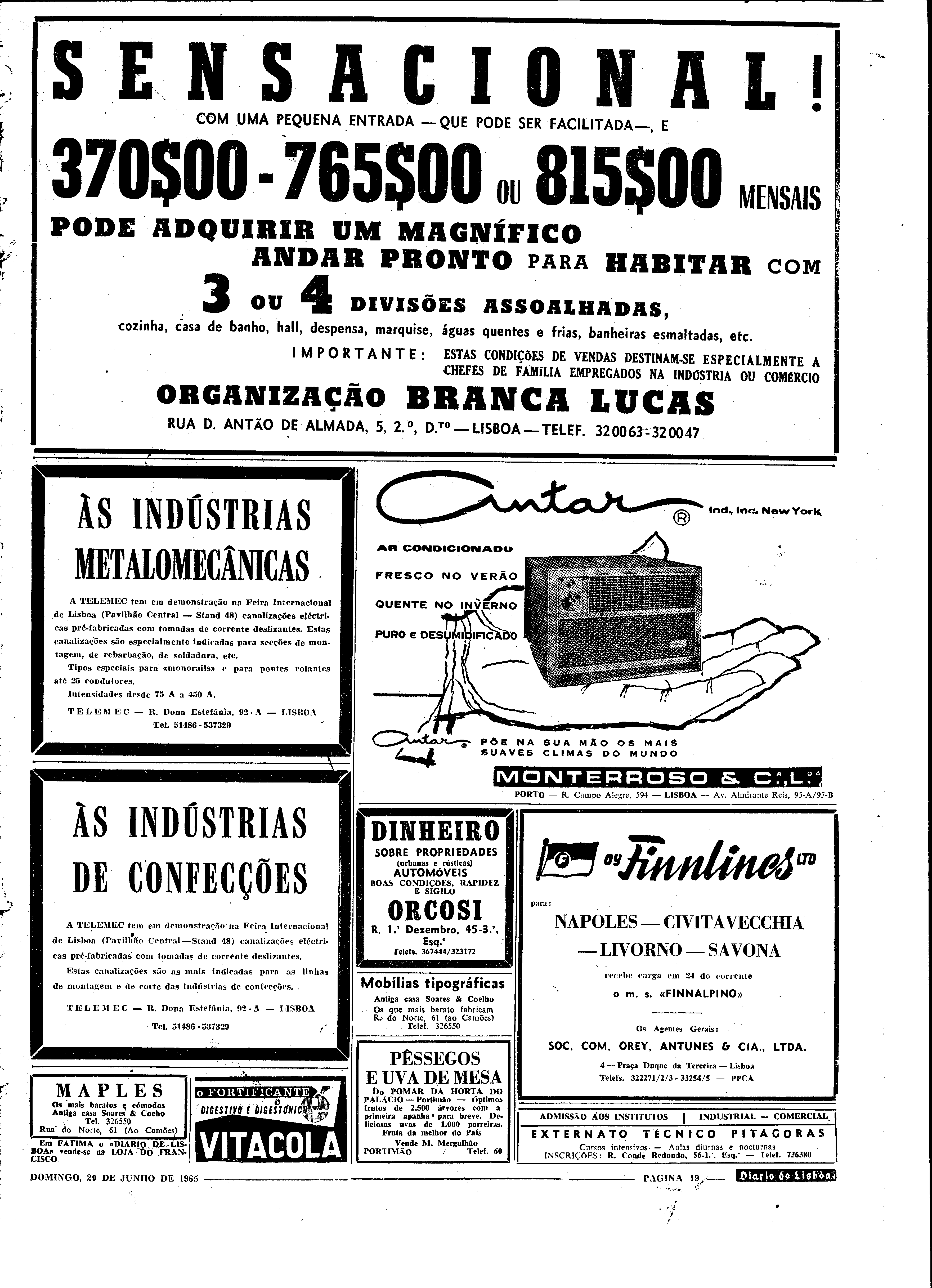 06560.098.19640- pag.19