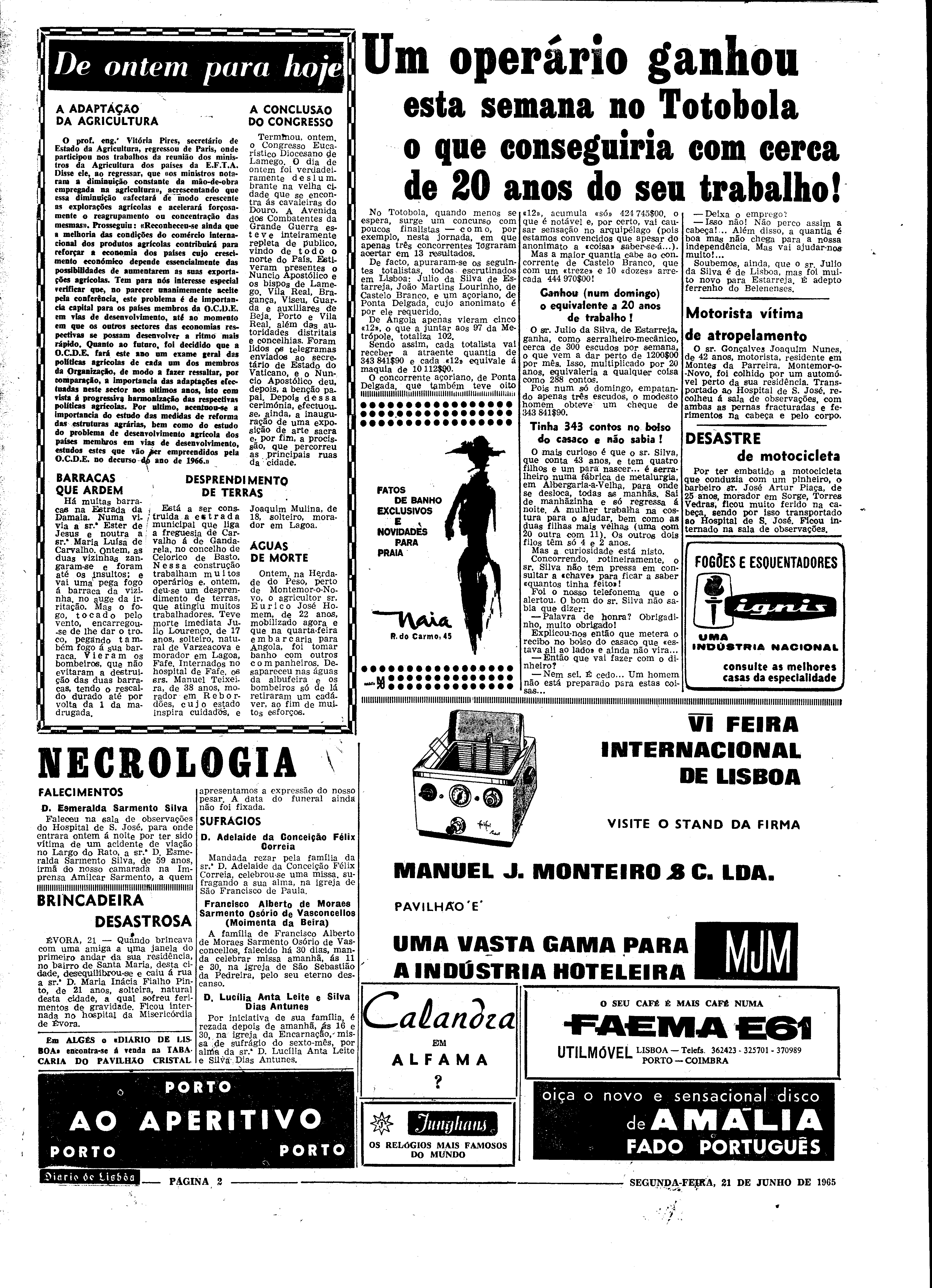 06560.098.19642- pag.2