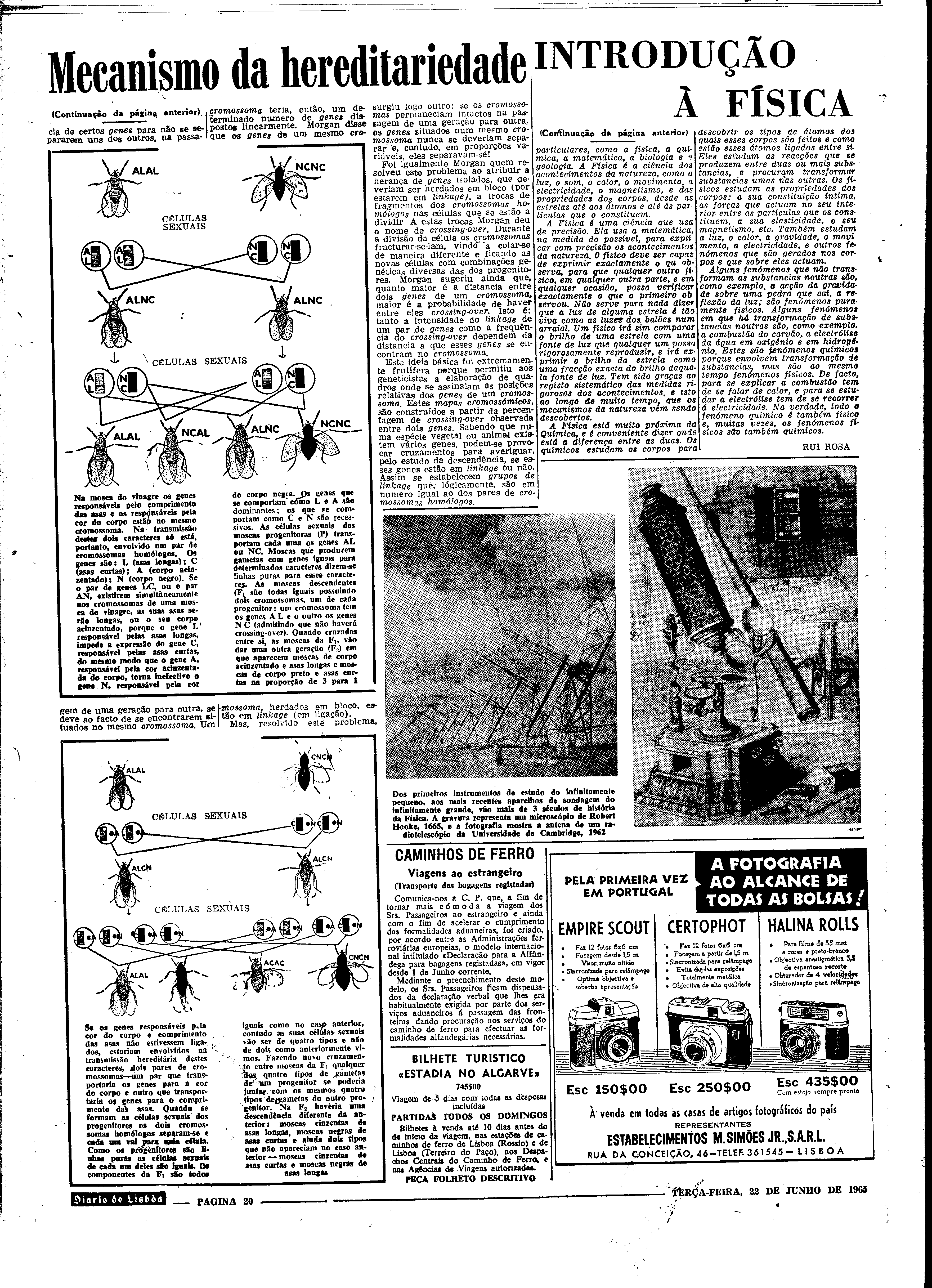 06560.098.19645- pag.20