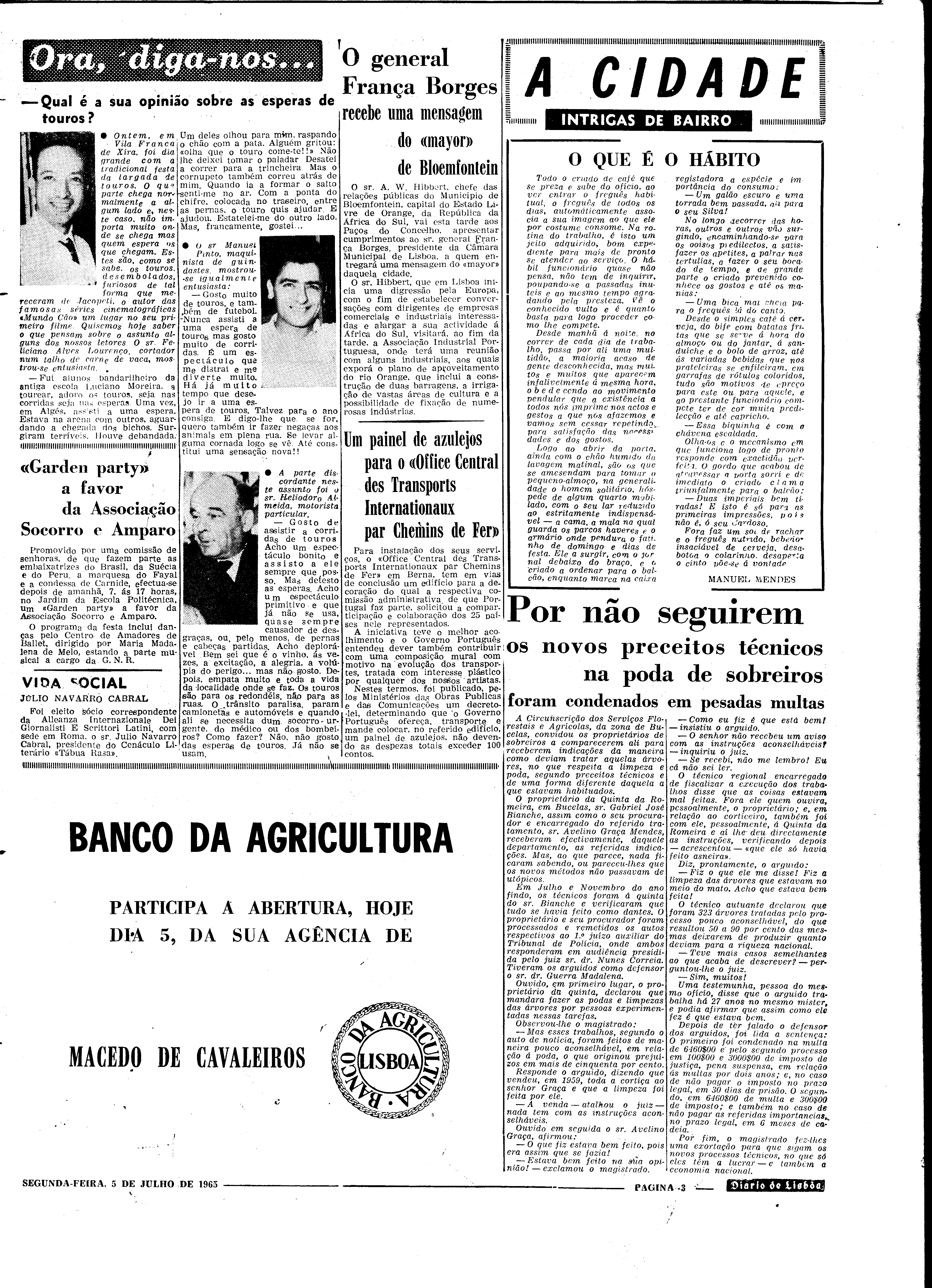 06561.099.19675- pag.3