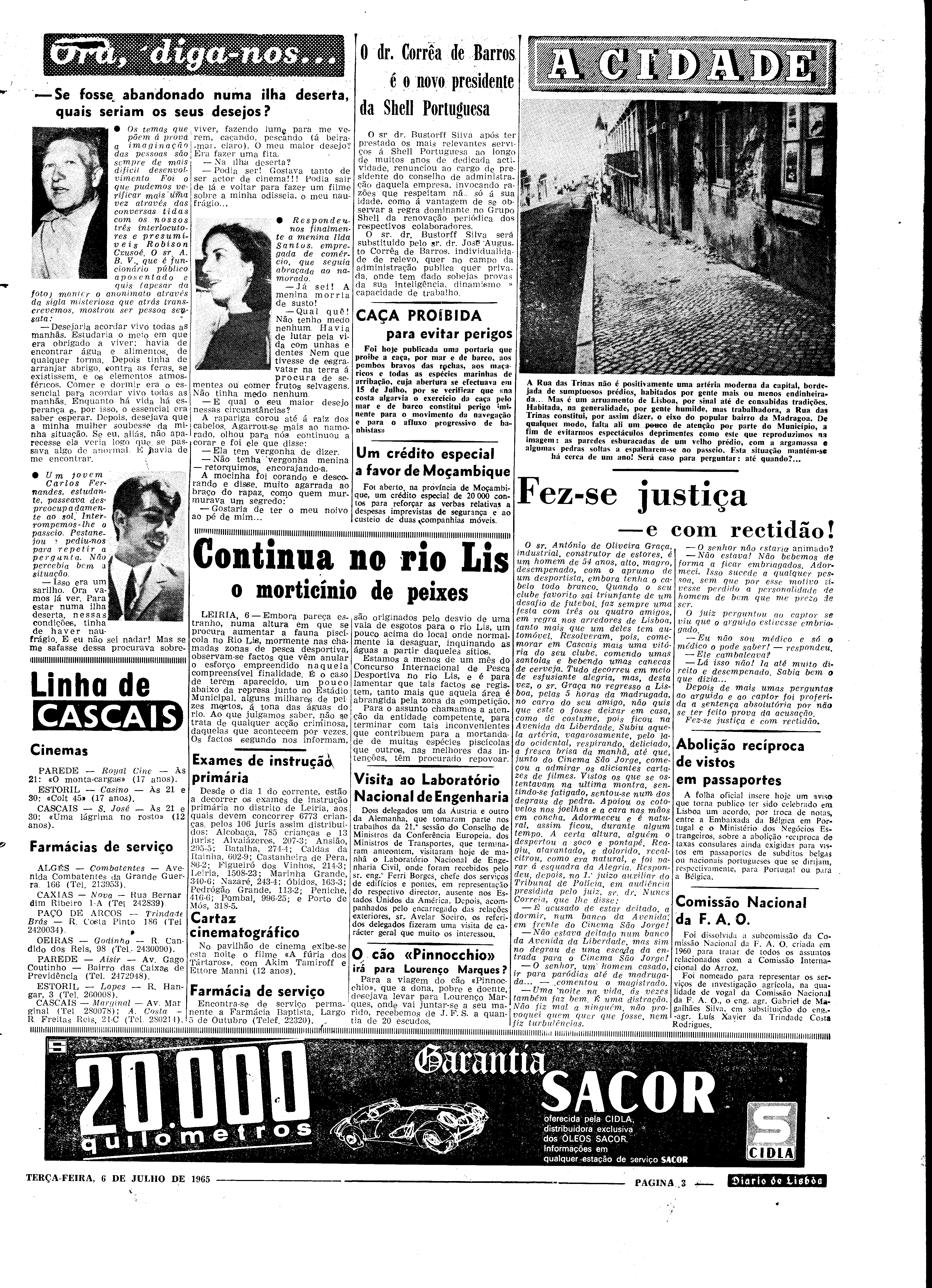 06561.099.19676- pag.3