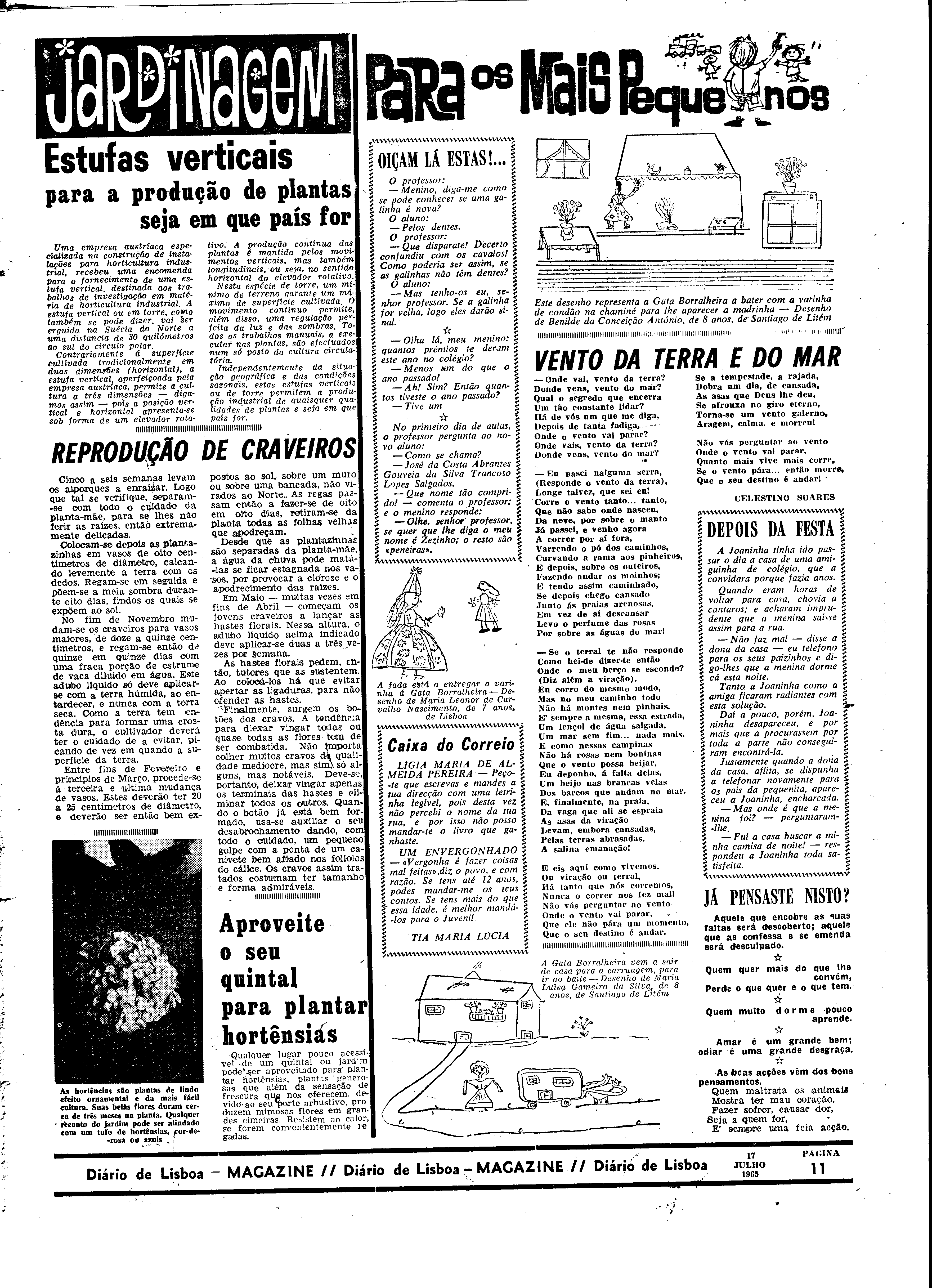 06561.099.19701- pag.31