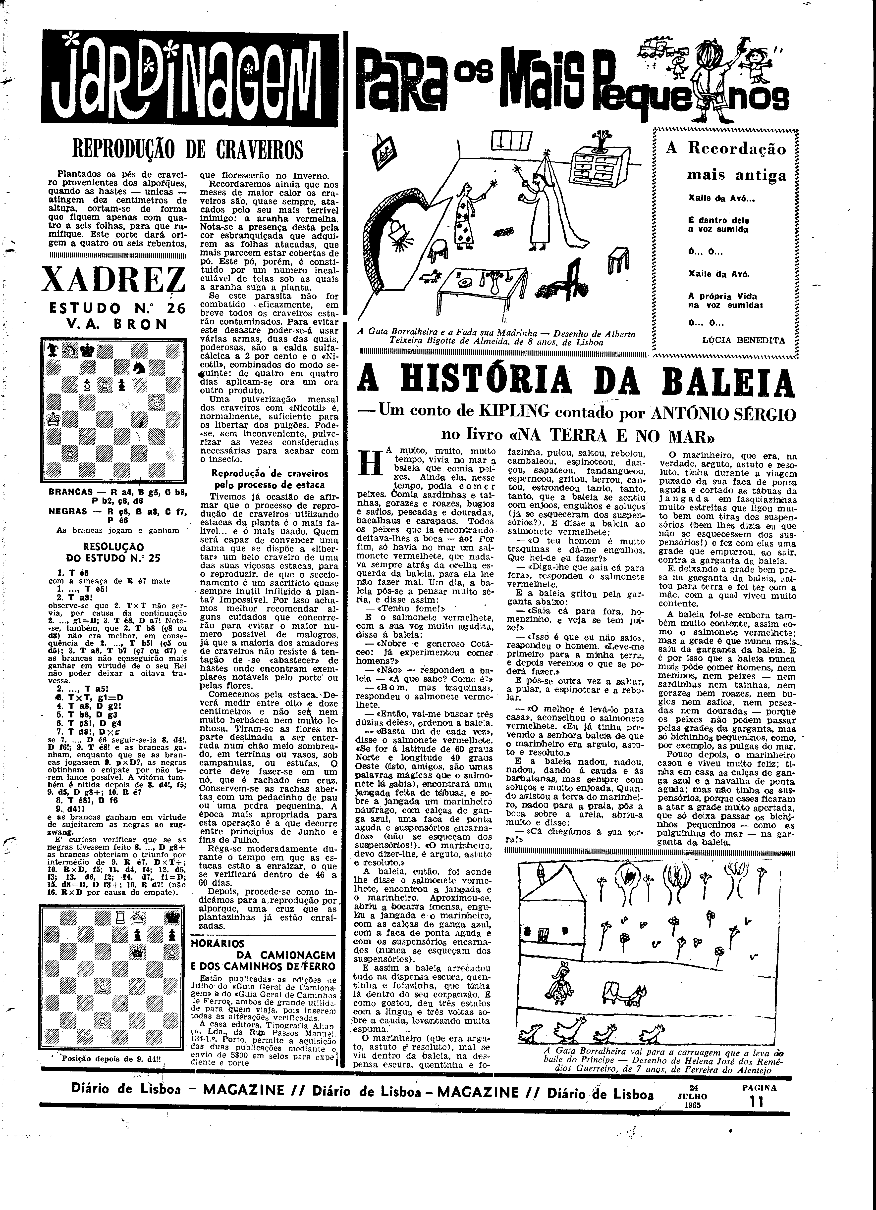 06561.099.19718- pag.31
