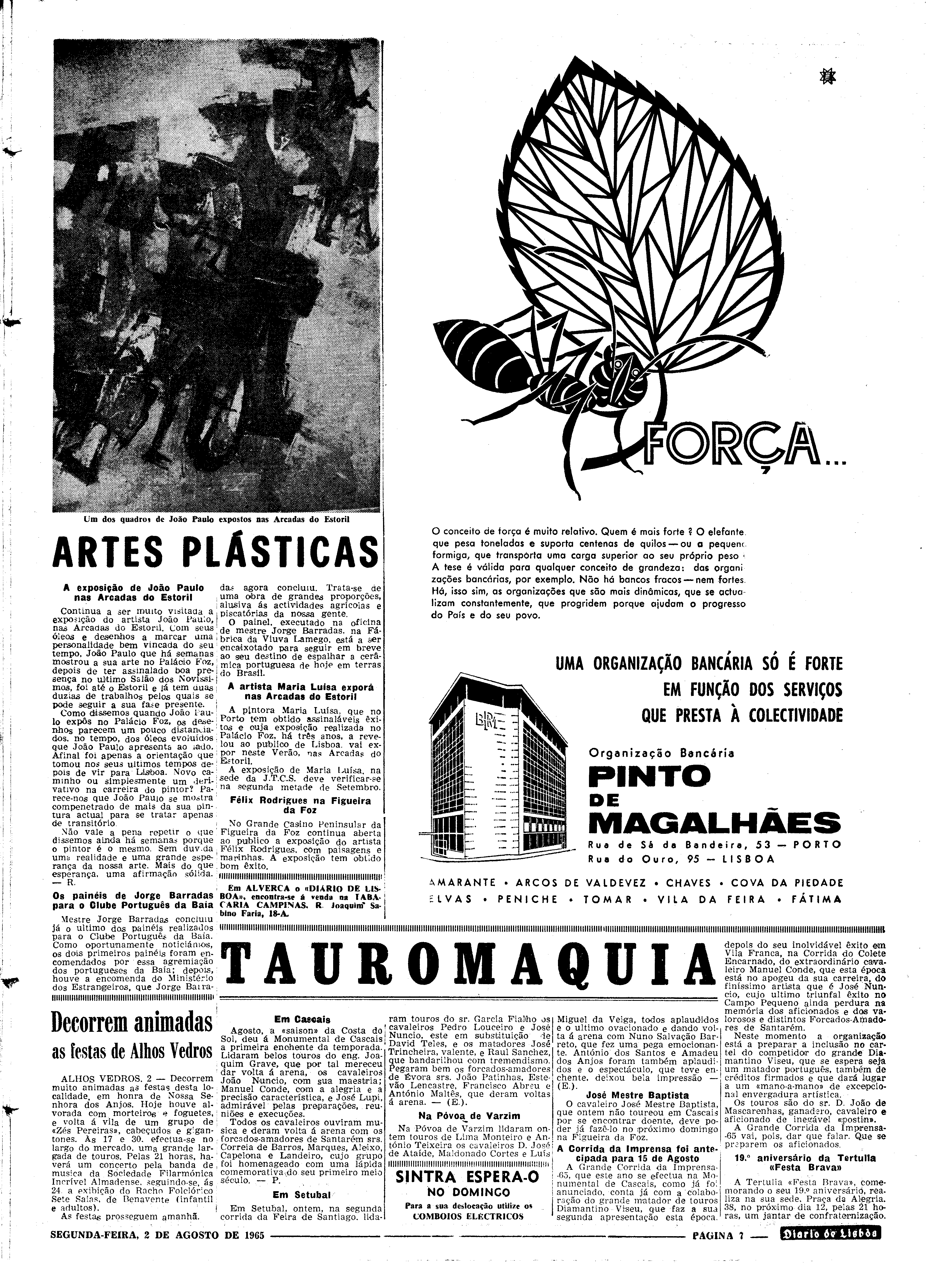 06562.100.19736- pag.7