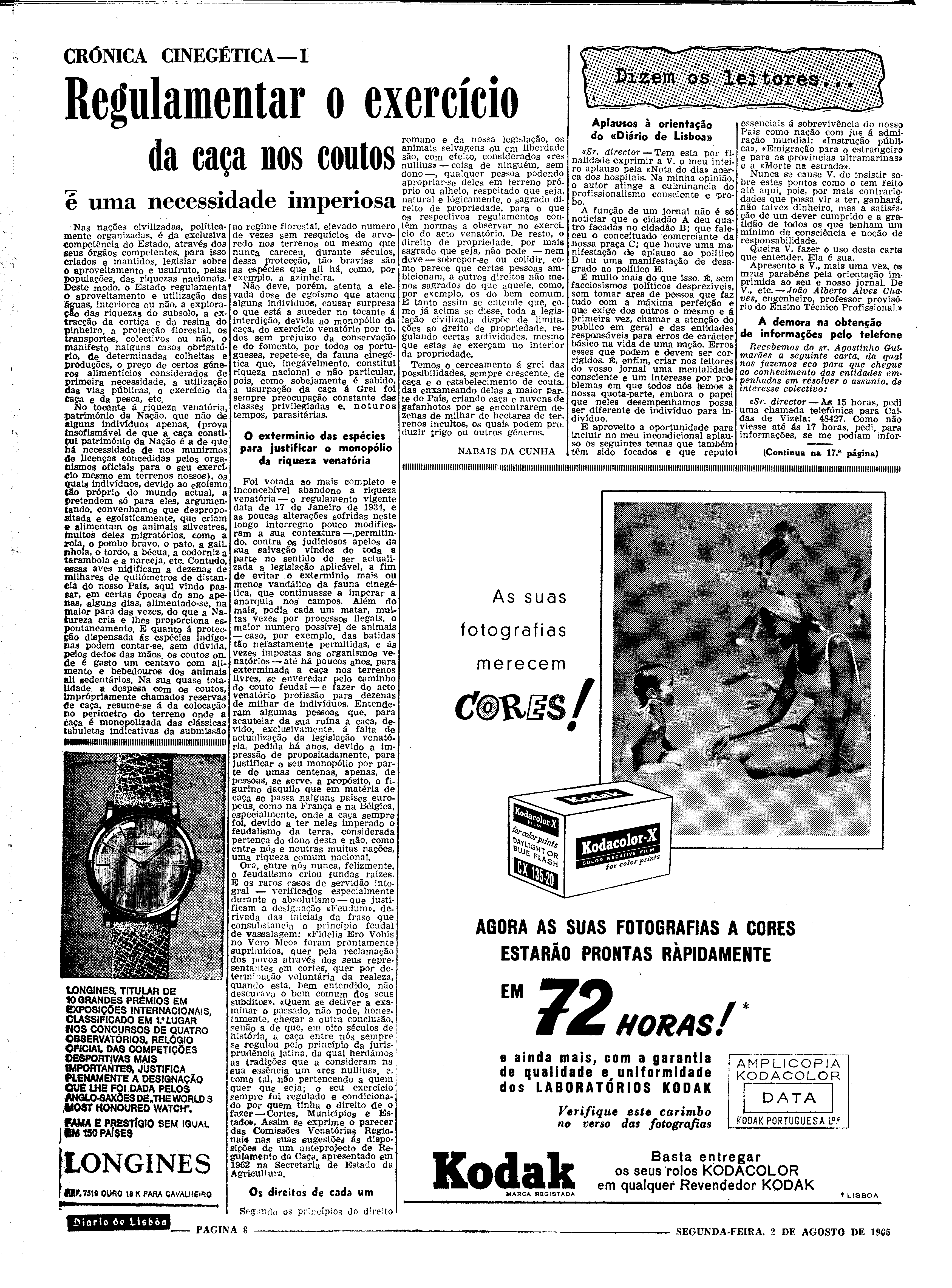 06562.100.19736- pag.8