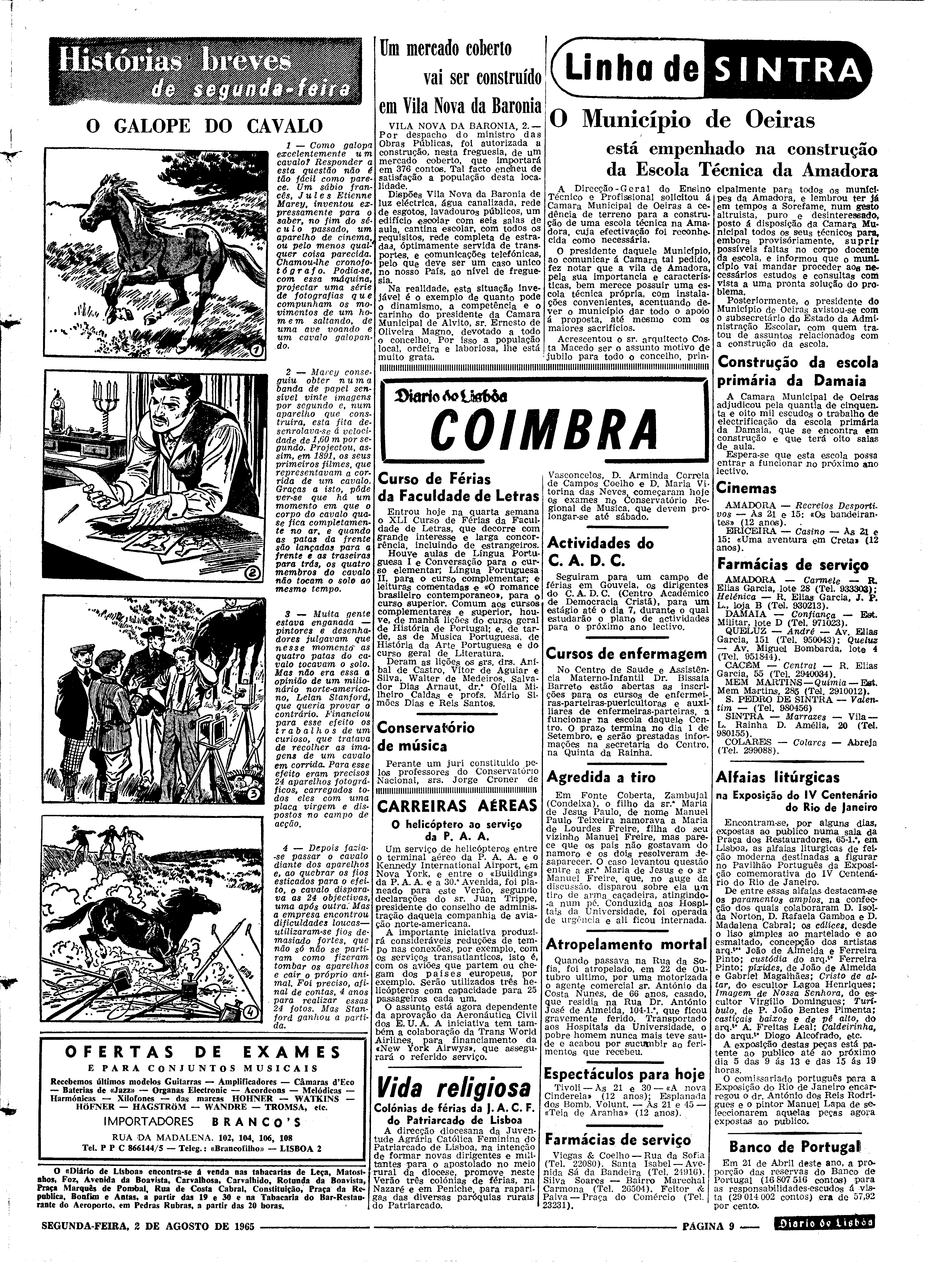 06562.100.19736- pag.9