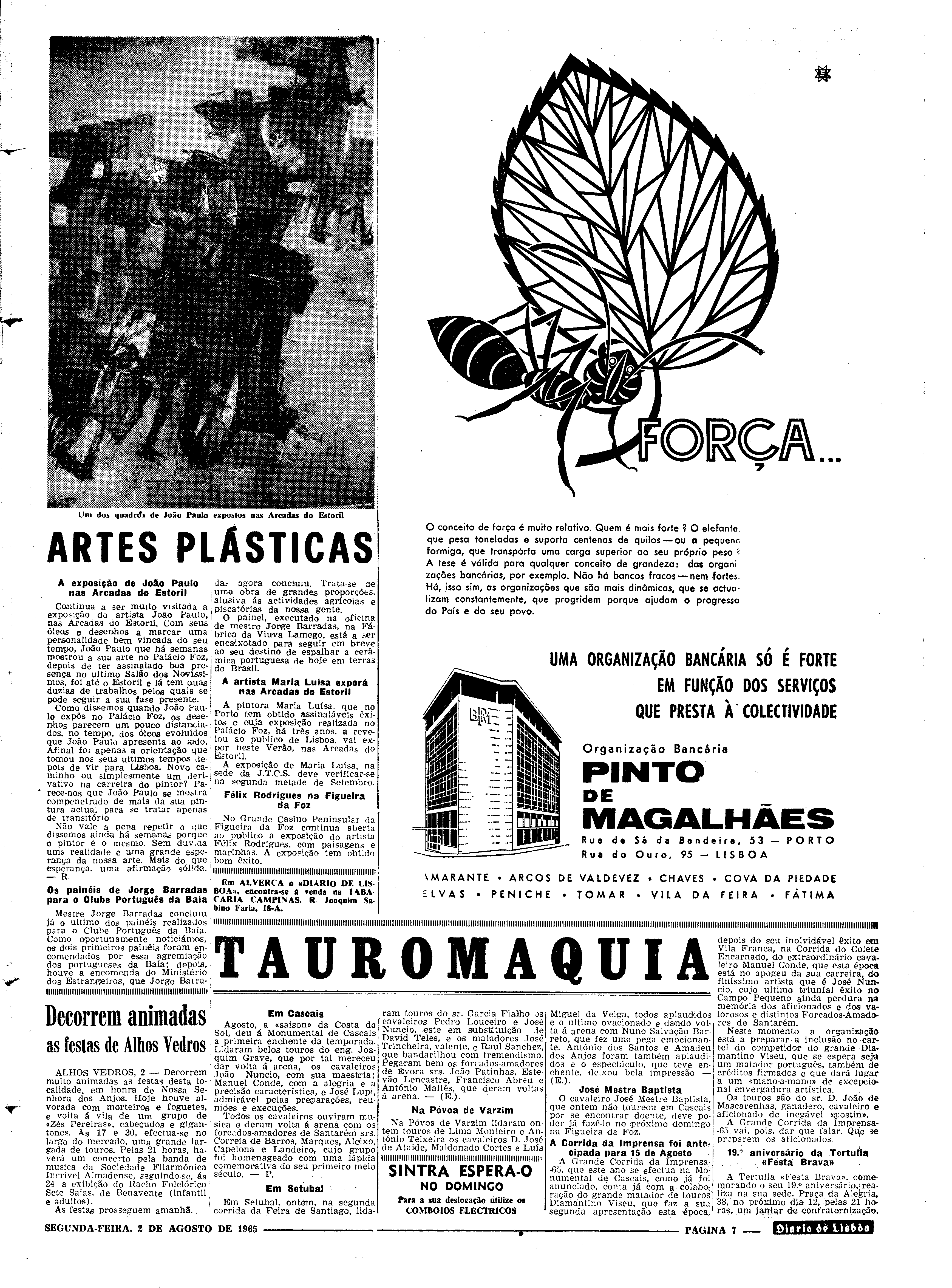 06562.100.19737- pag.7