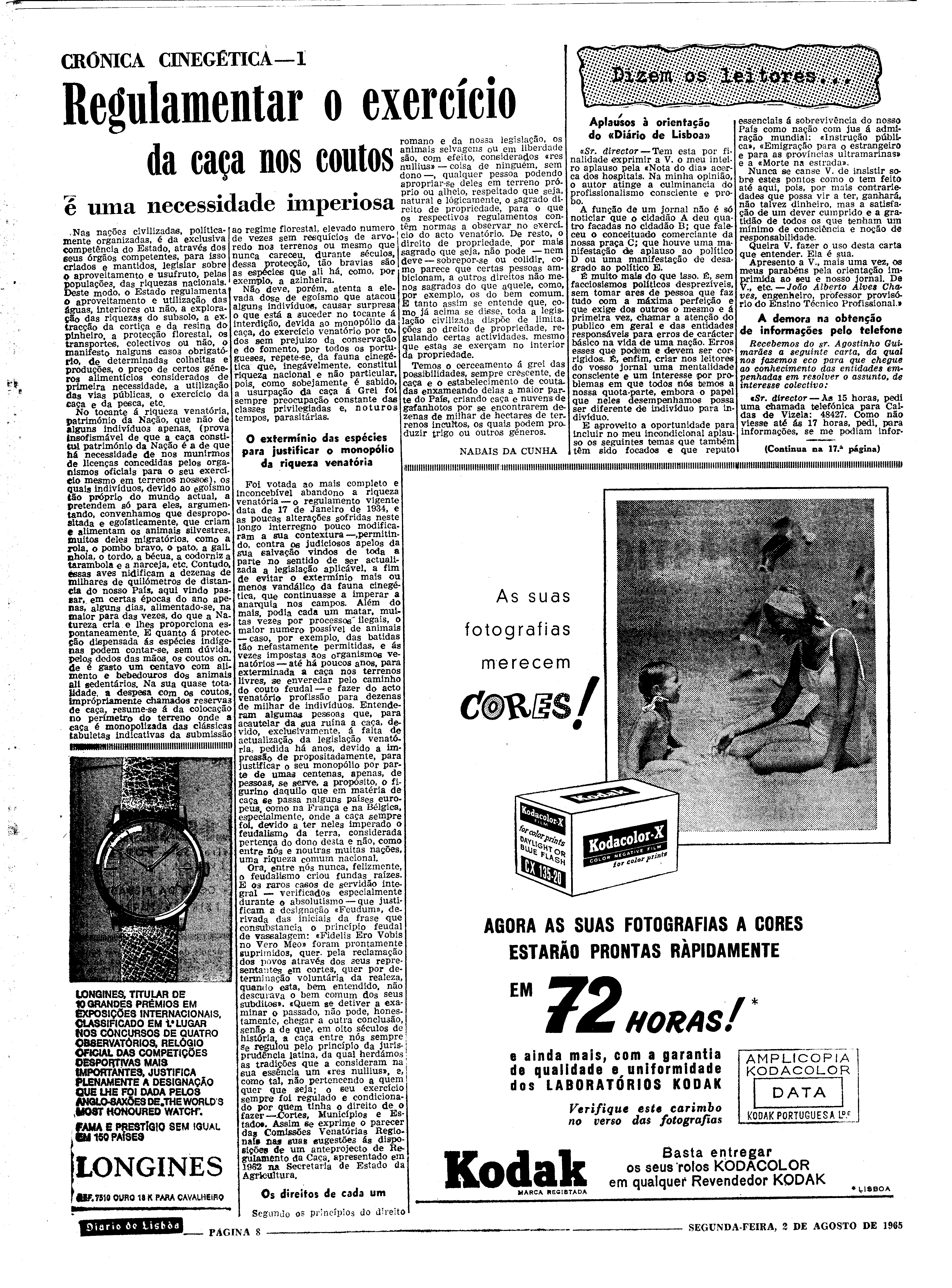 06562.100.19738- pag.8