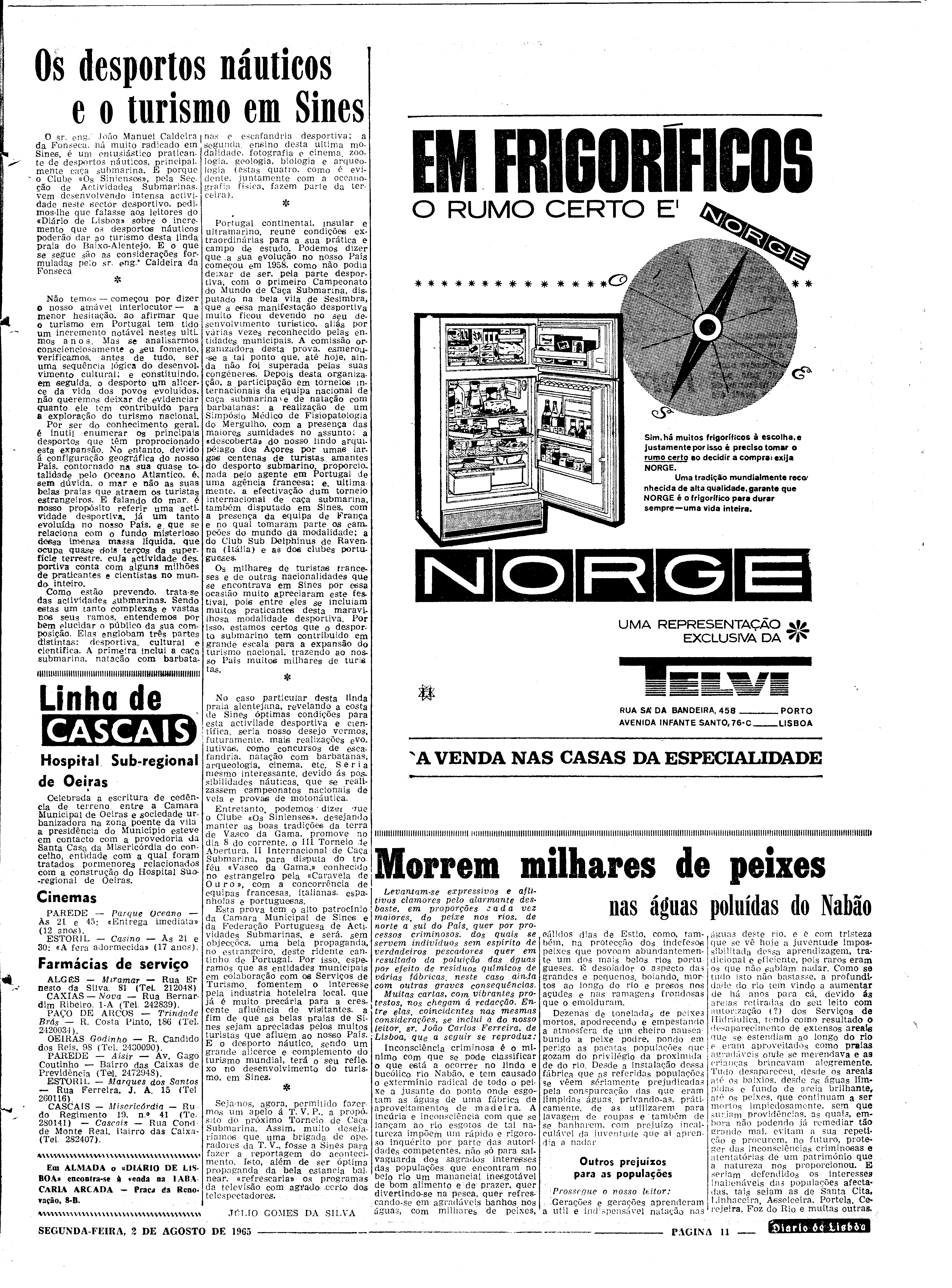 06562.100.19738- pag.11