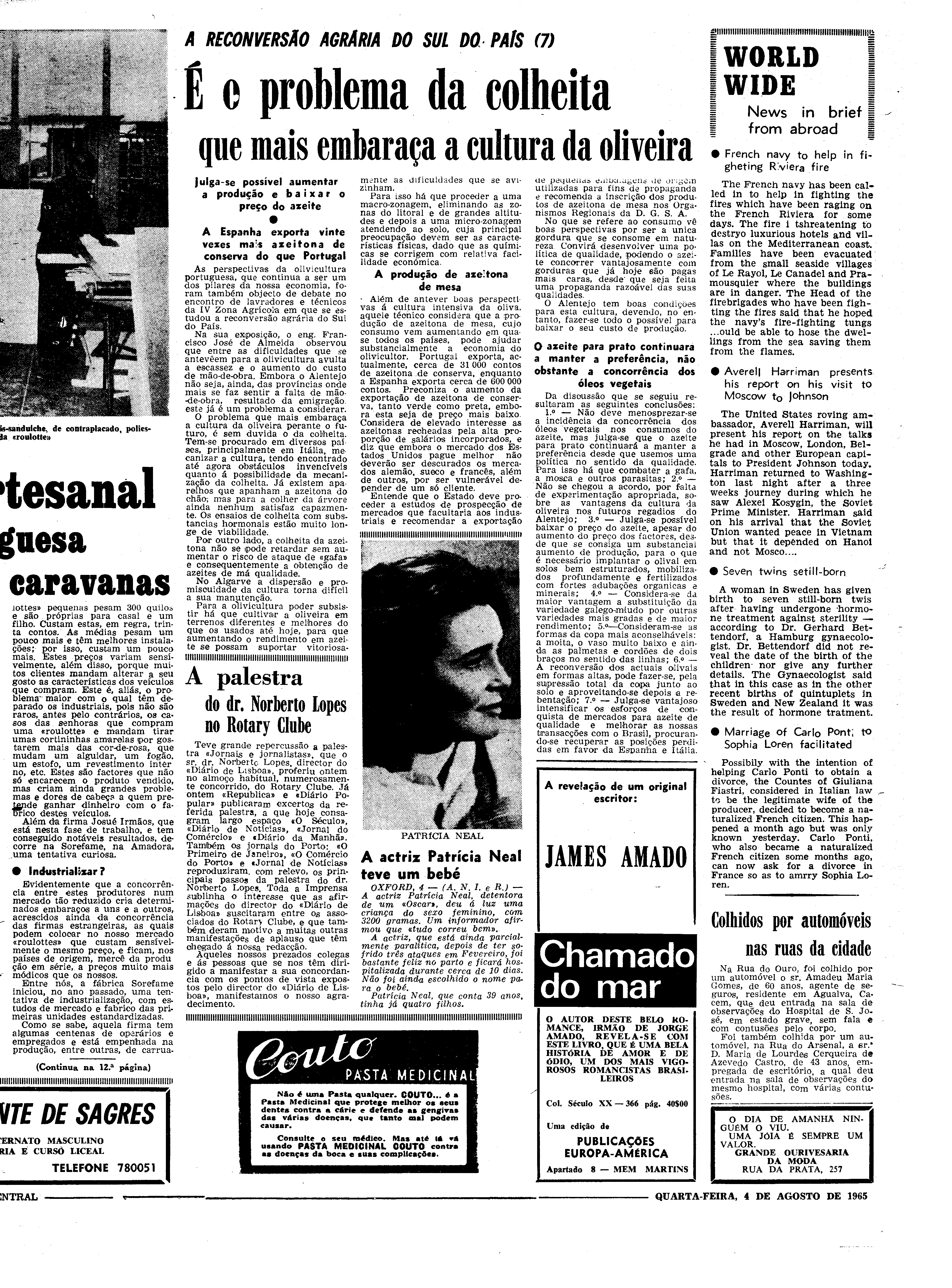06562.100.19742- pag.11