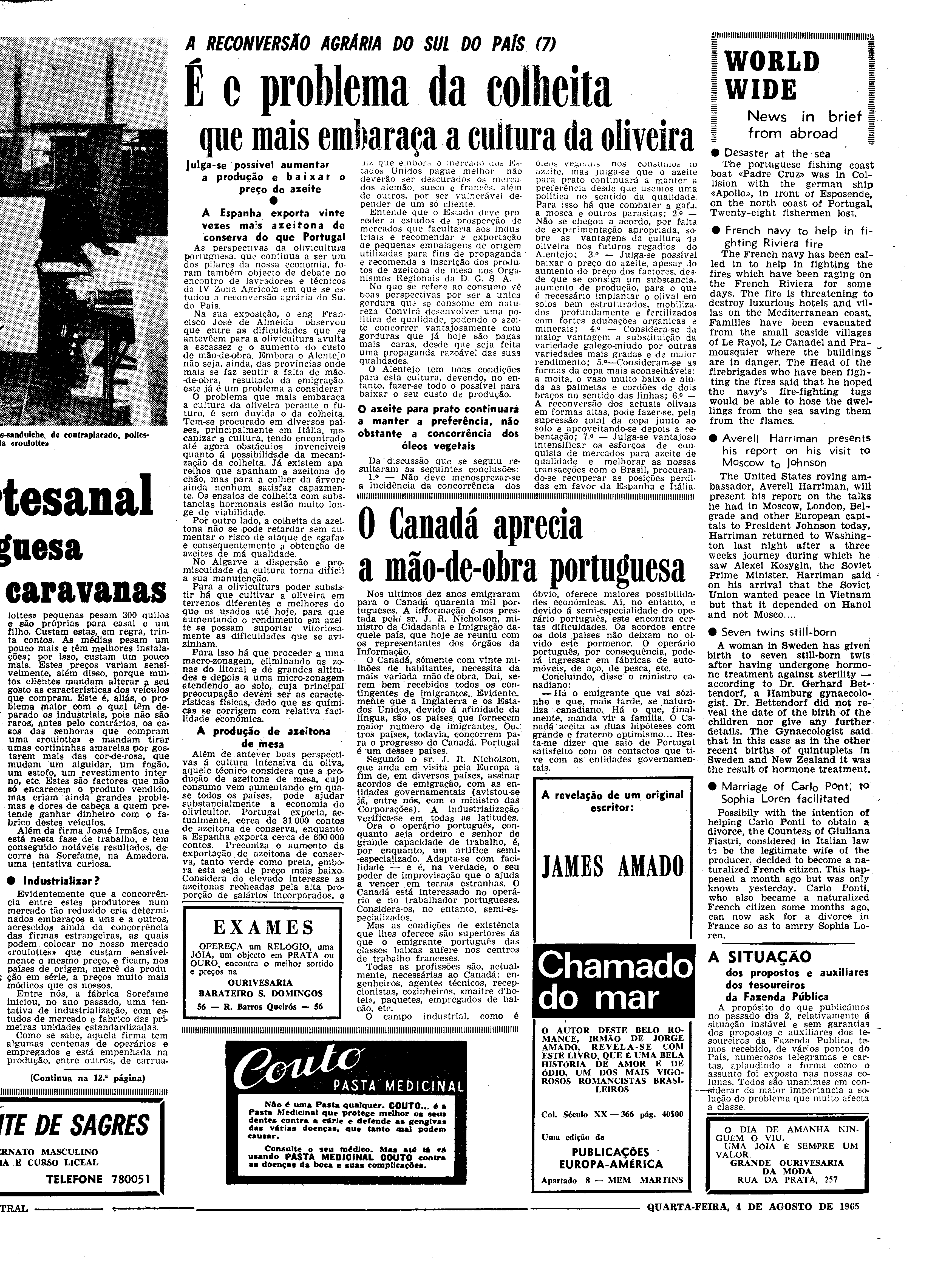 06562.100.19743- pag.11