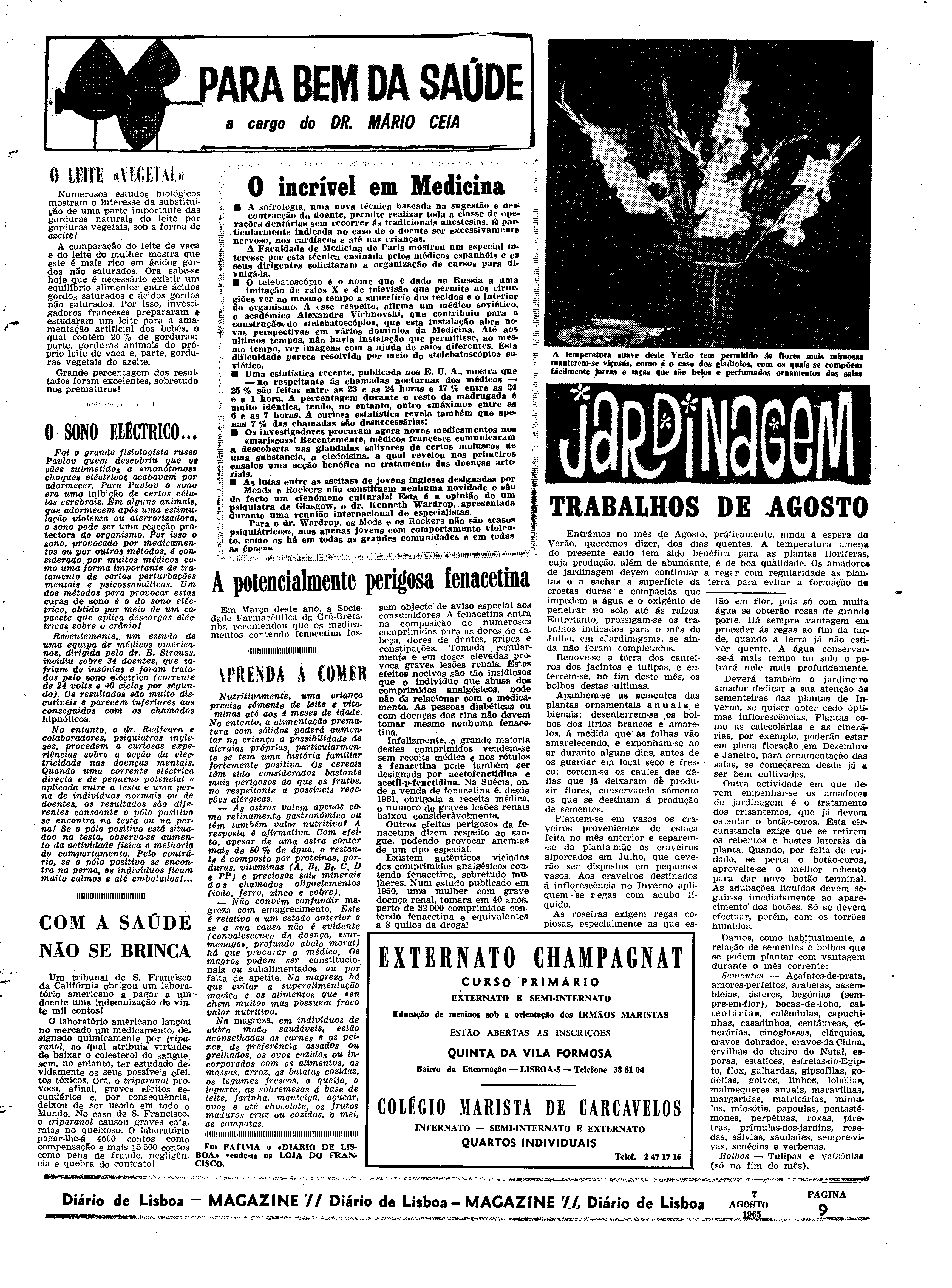 06562.100.19751- pag.29