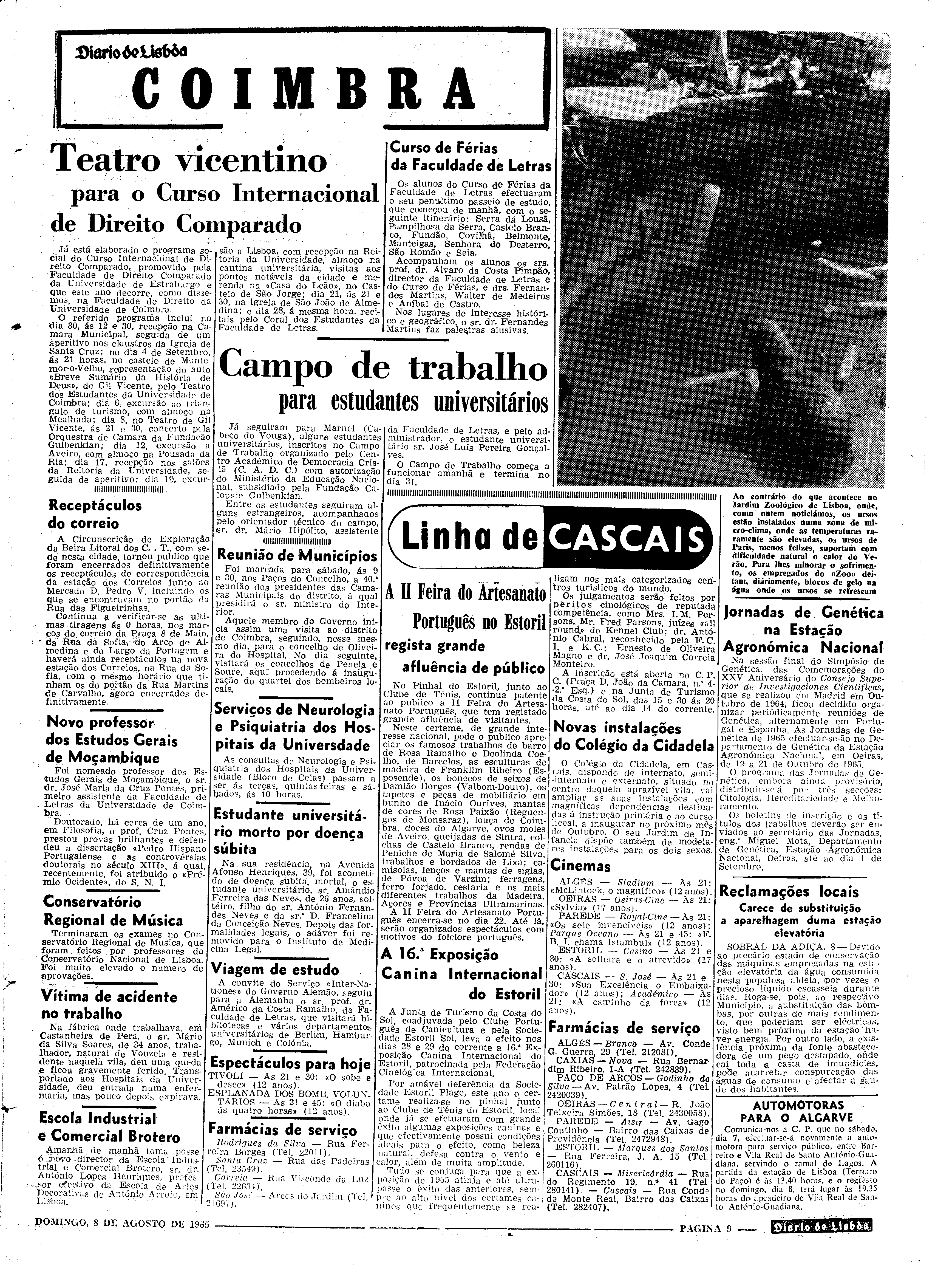 06562.100.19752- pag.9