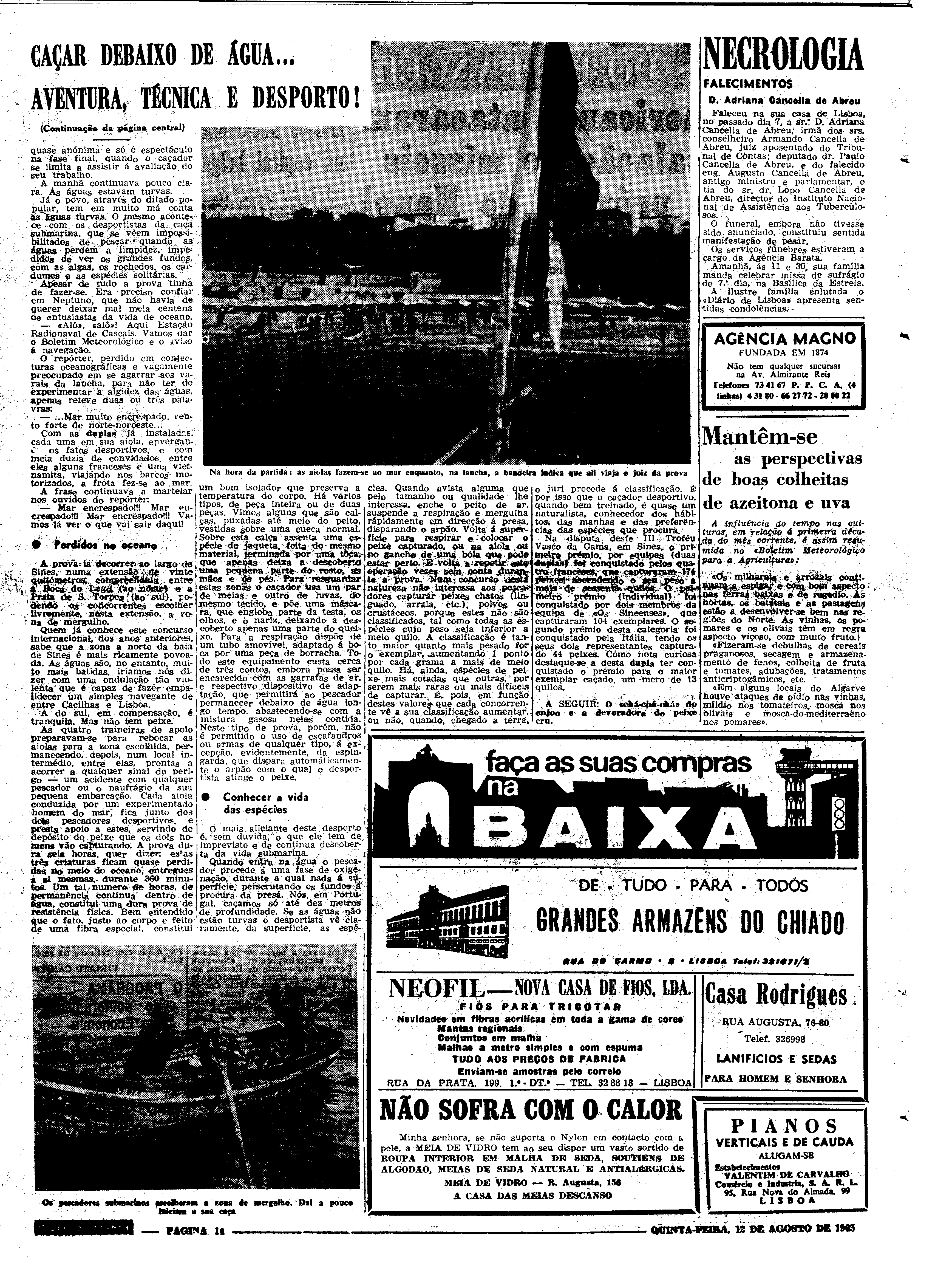 06562.100.19761- pag.14