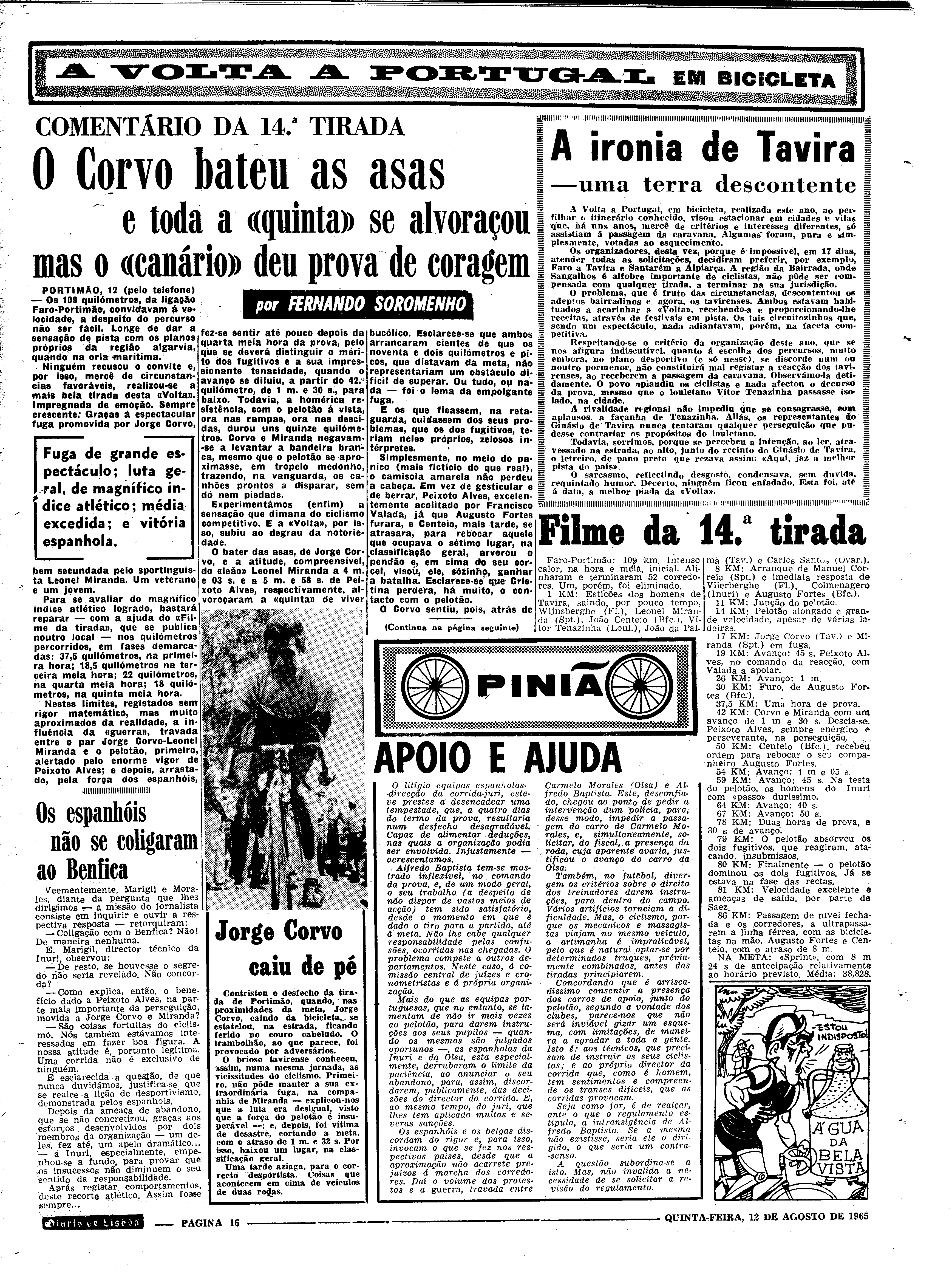 06562.100.19761- pag.16