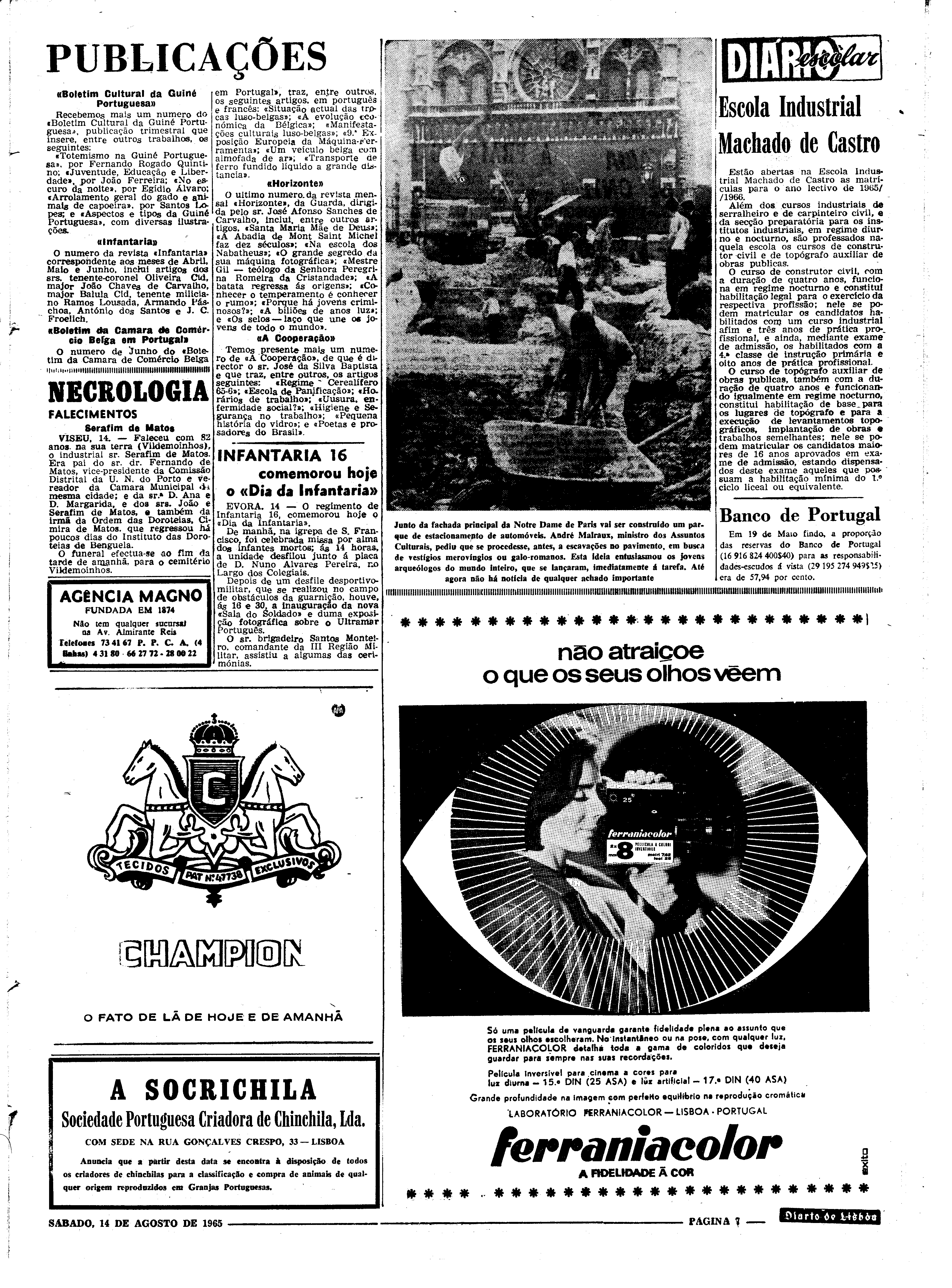 06562.100.19765- pag.7