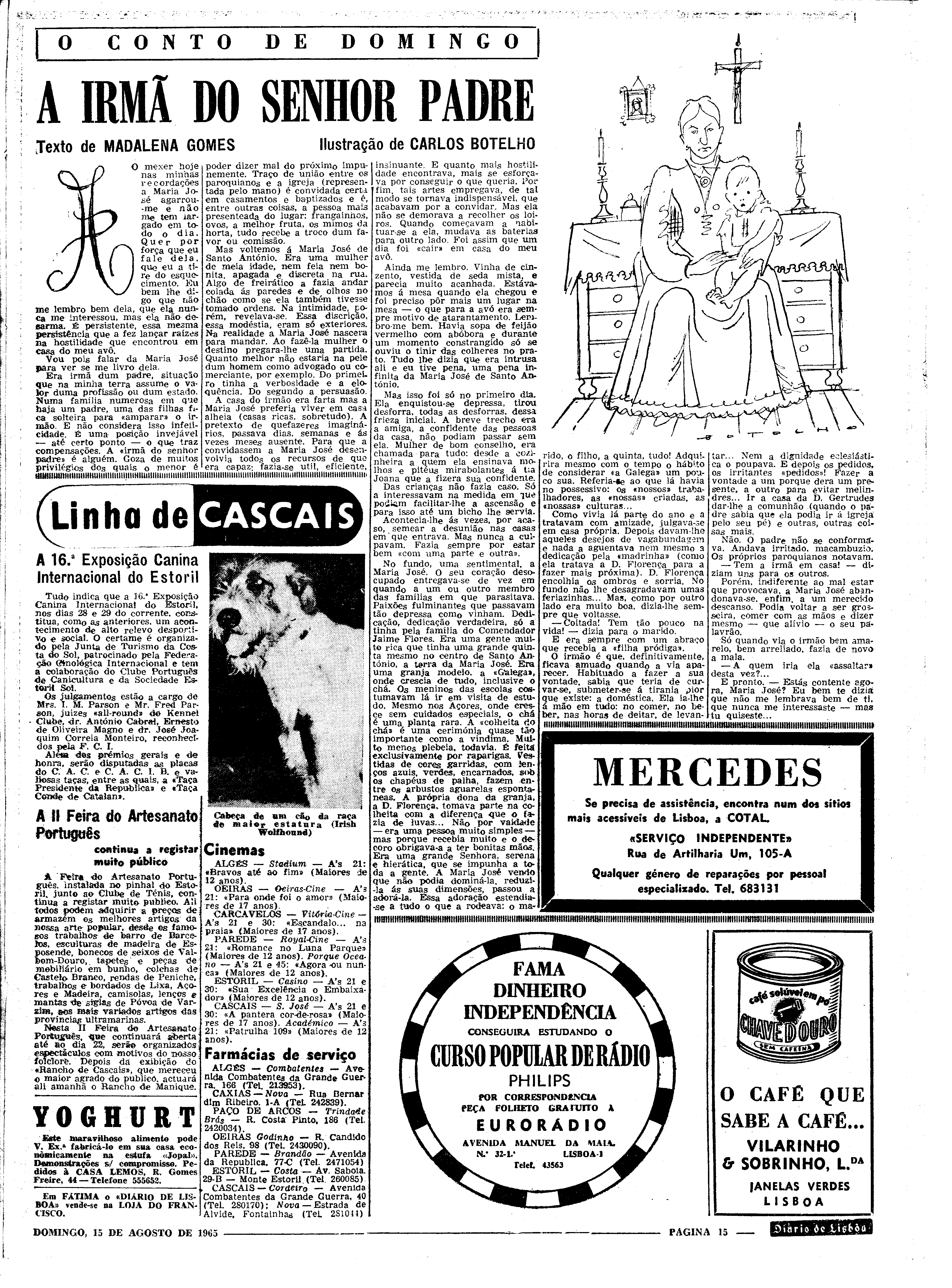 06562.100.19768- pag.15