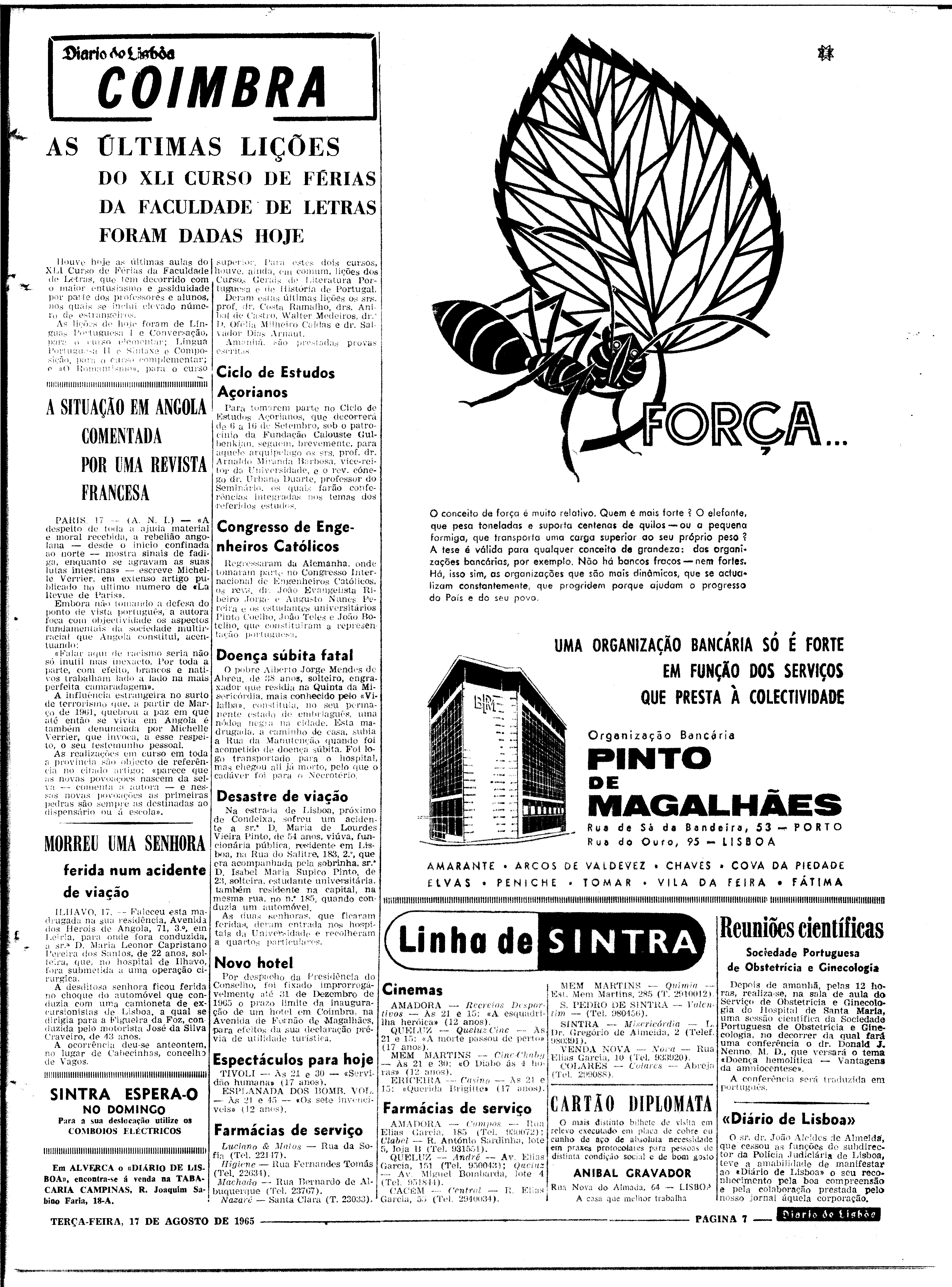 06562.100.19772- pag.7