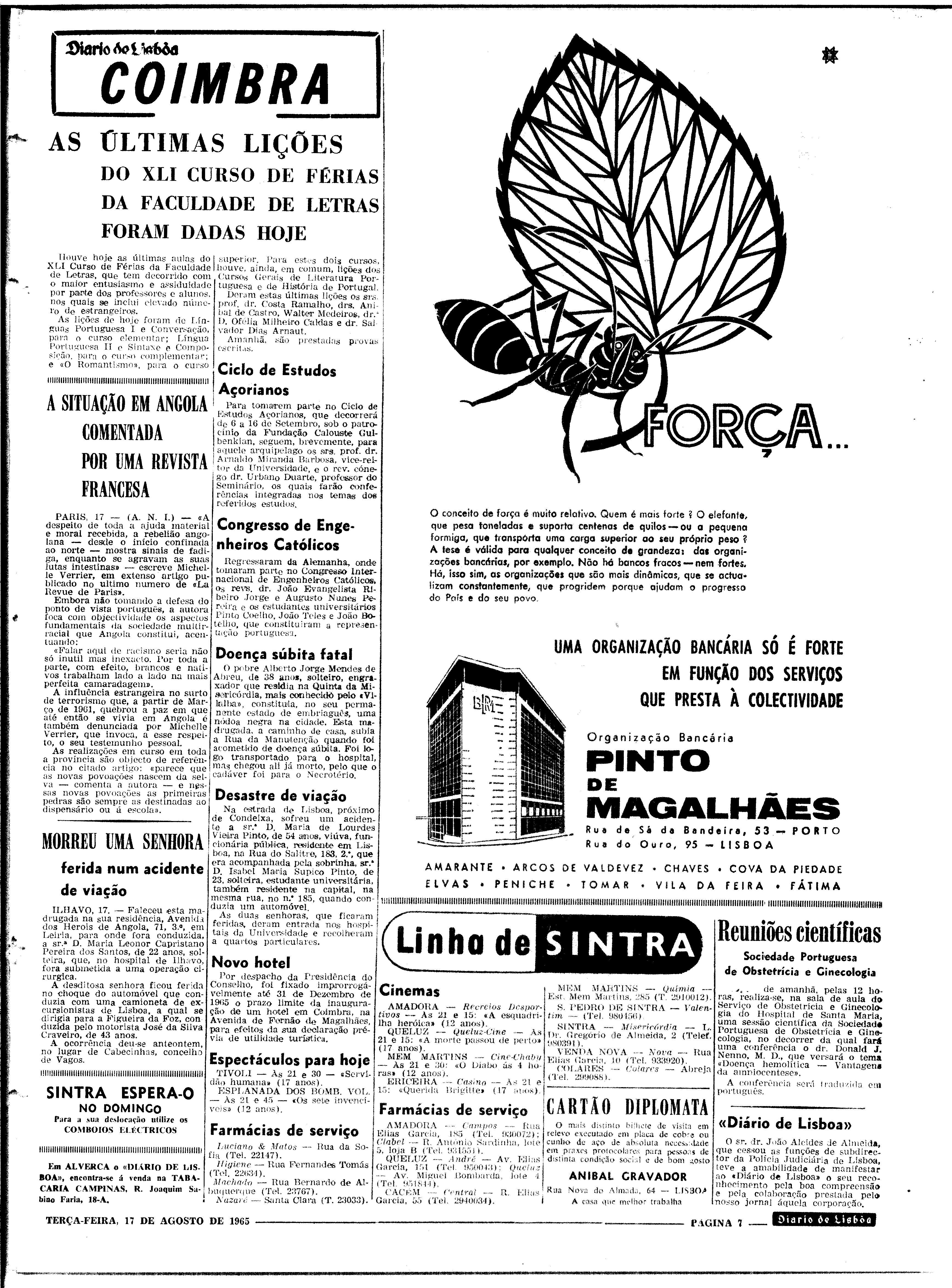 06562.100.19773- pag.7