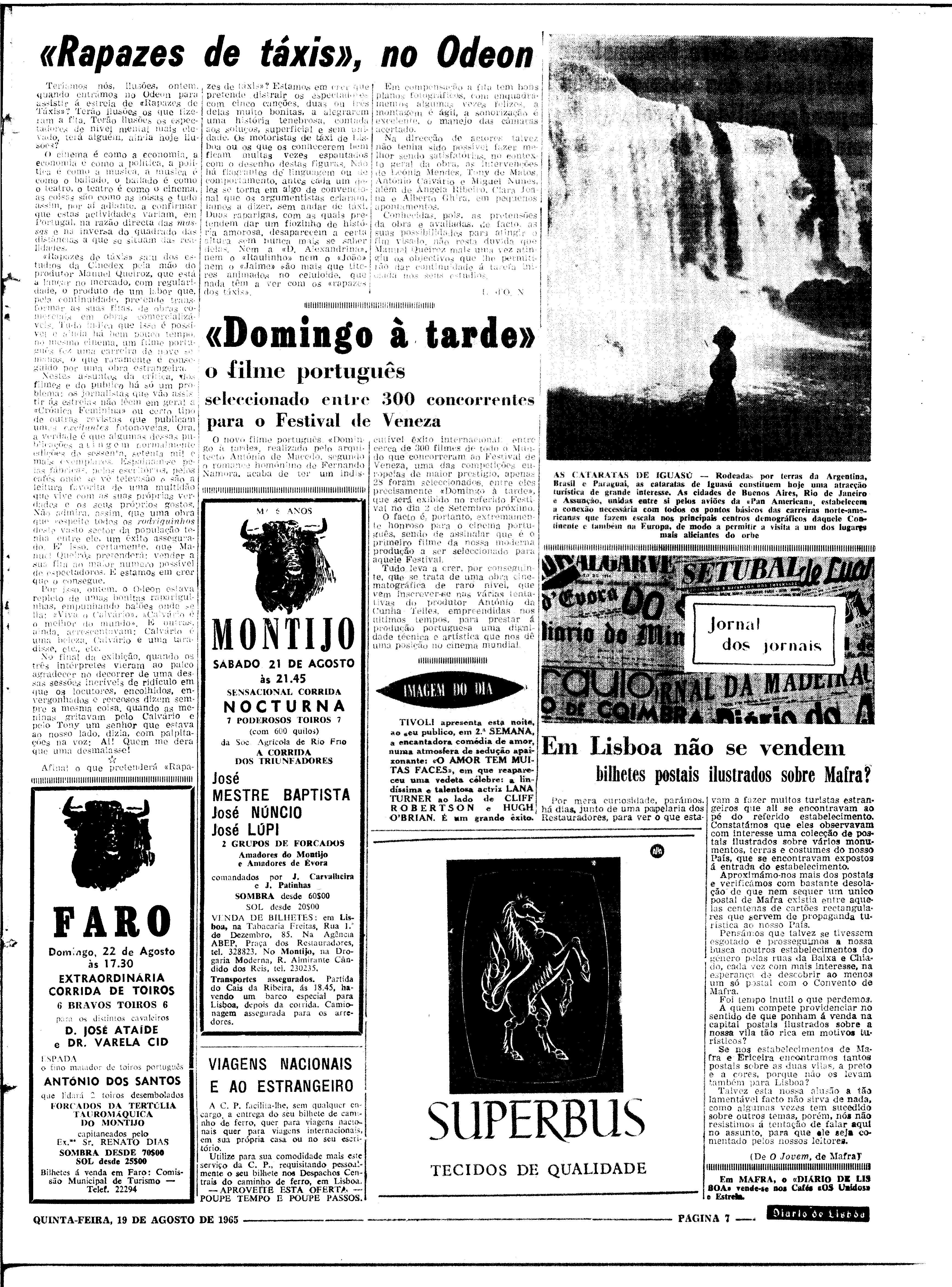 06562.100.19777- pag.7