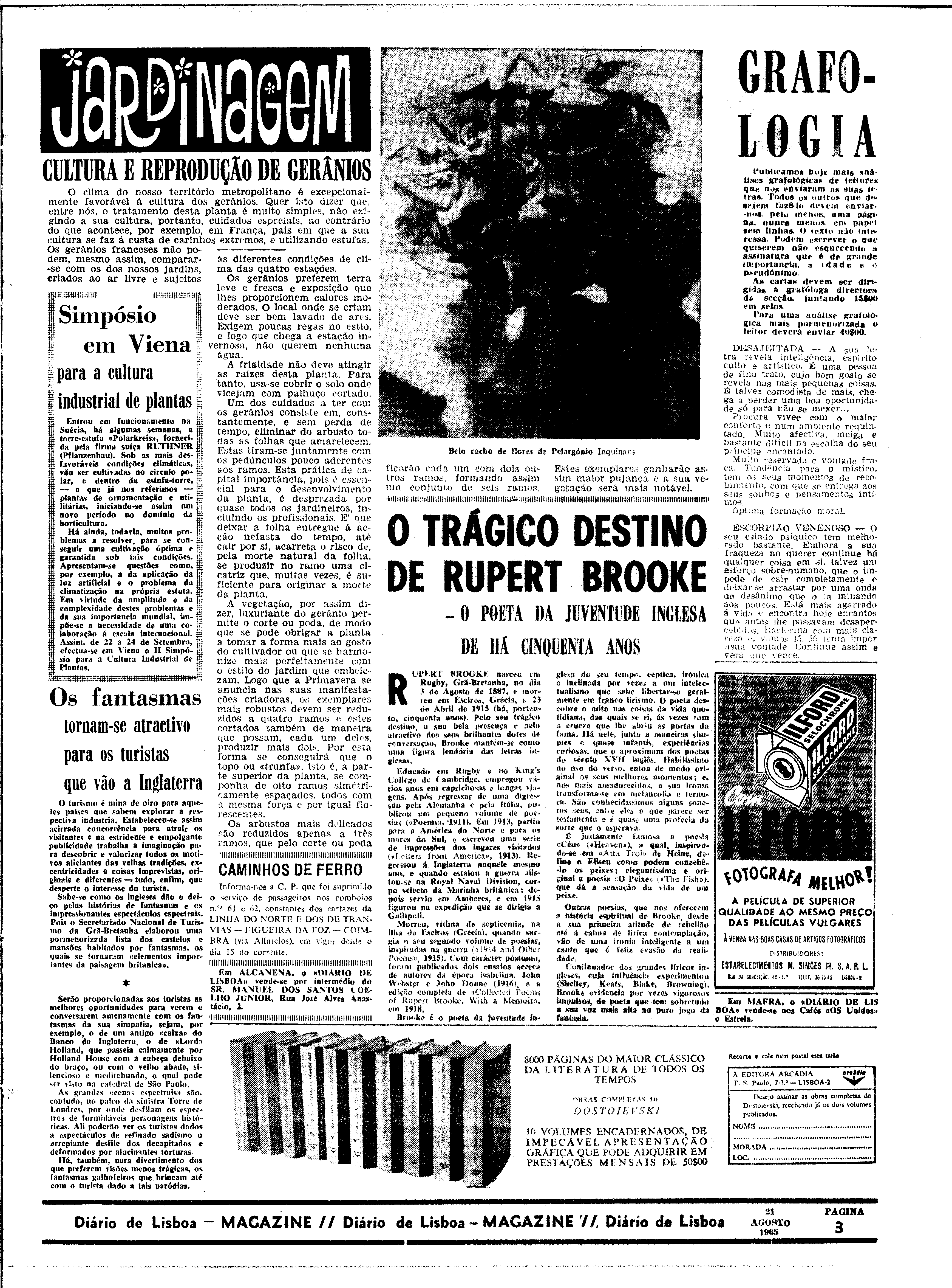 06562.100.19781- pag.23