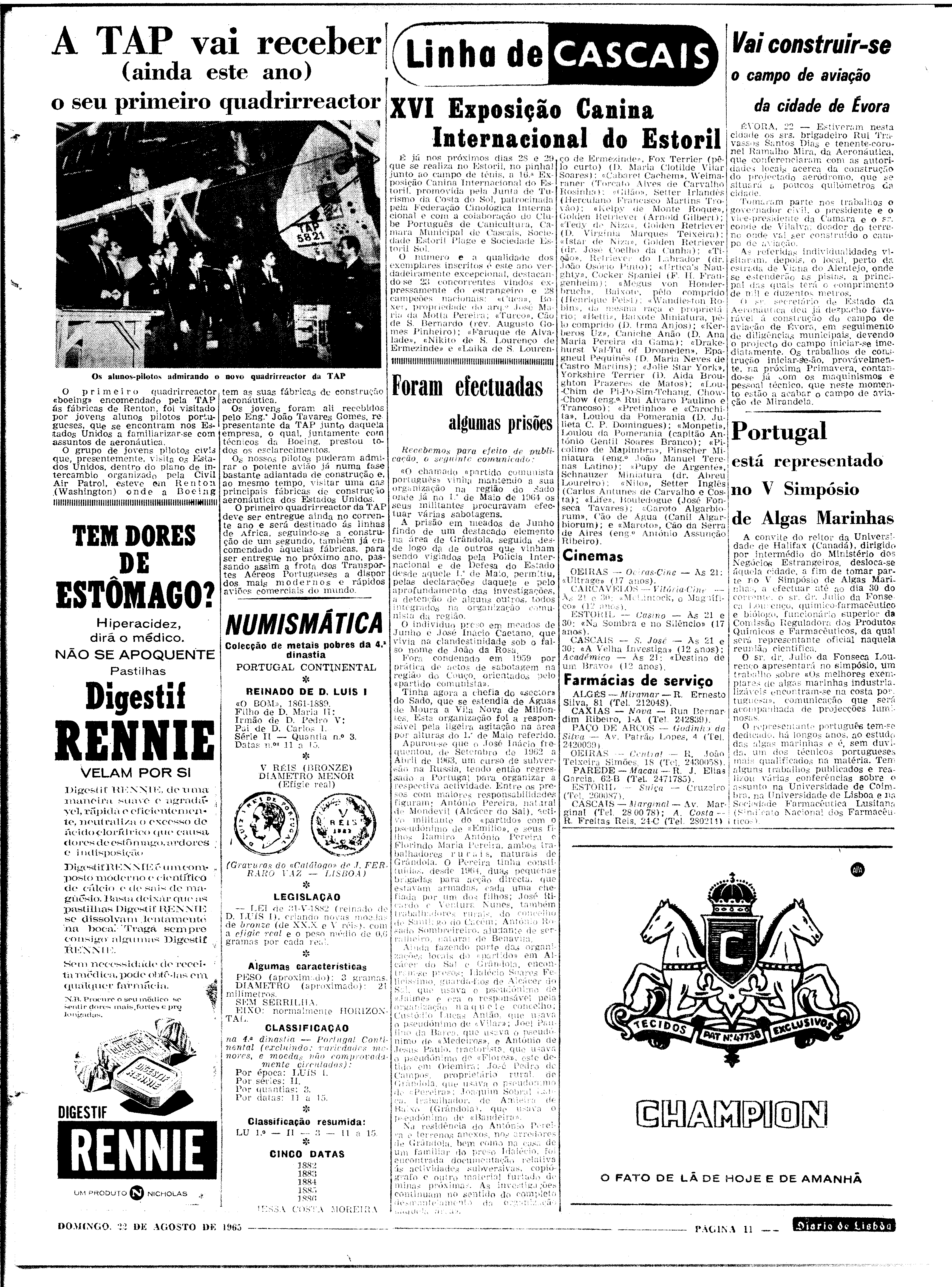 06562.100.19782- pag.11