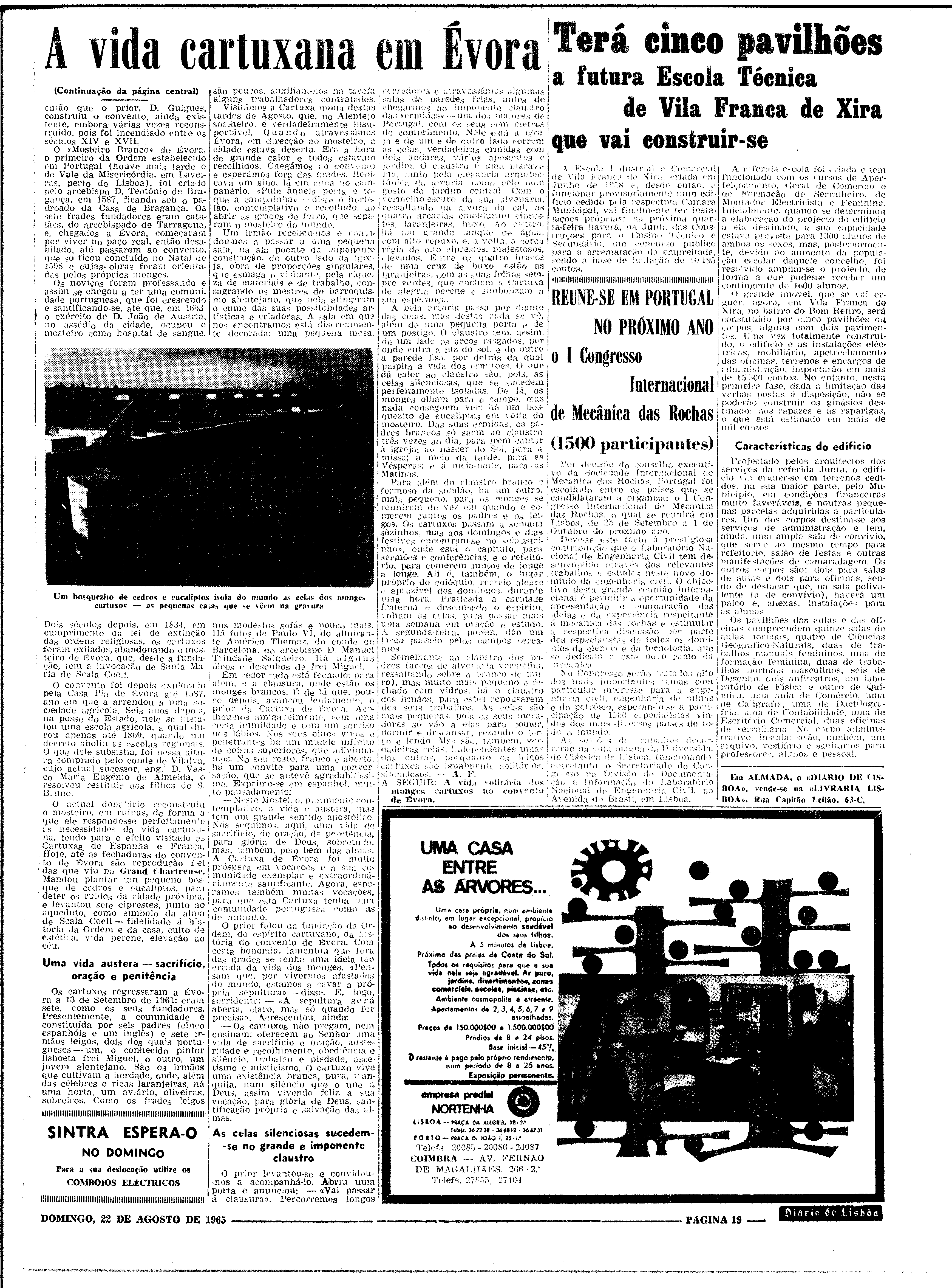 06562.100.19782- pag.19