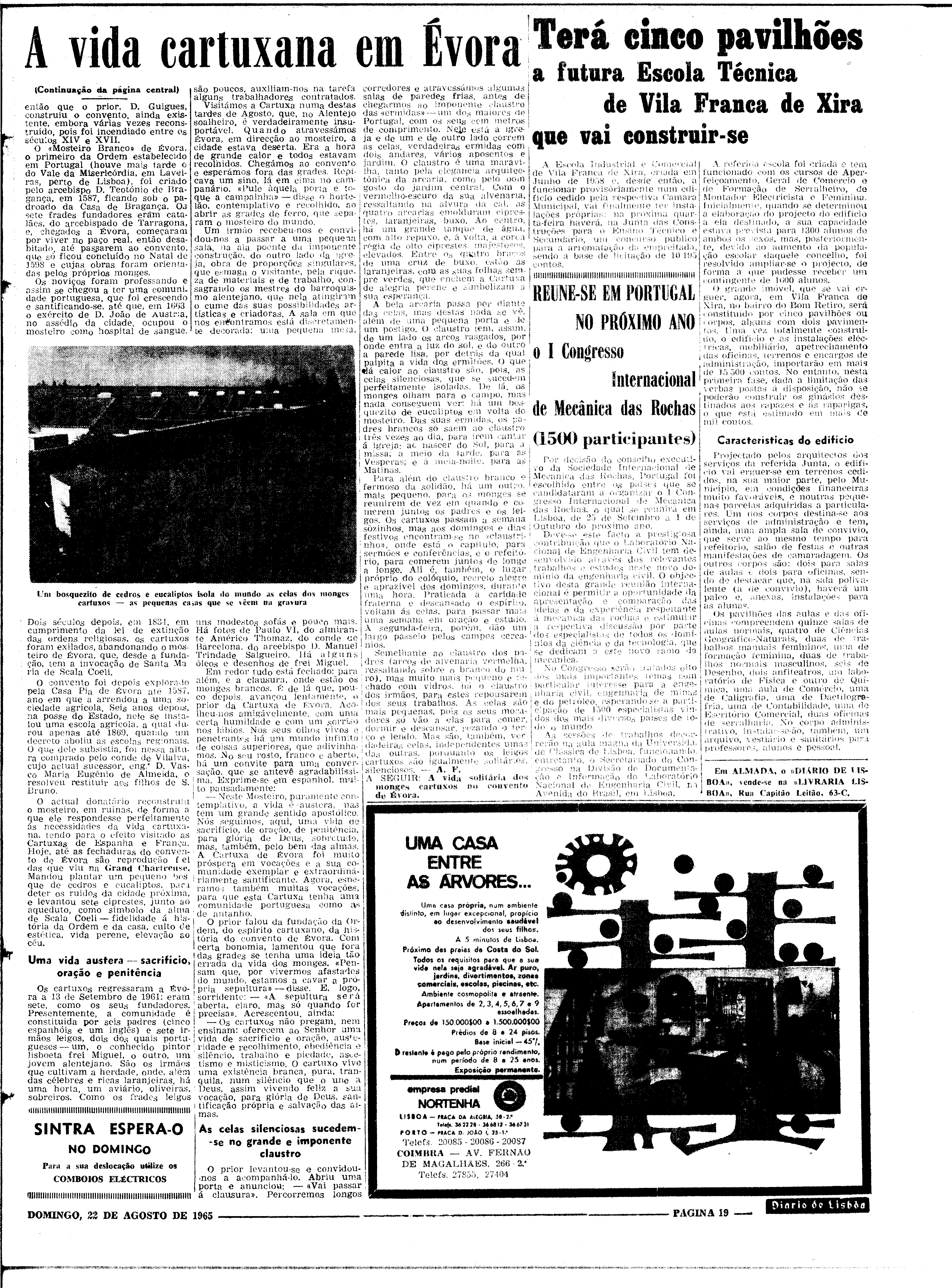 06562.100.19783- pag.19