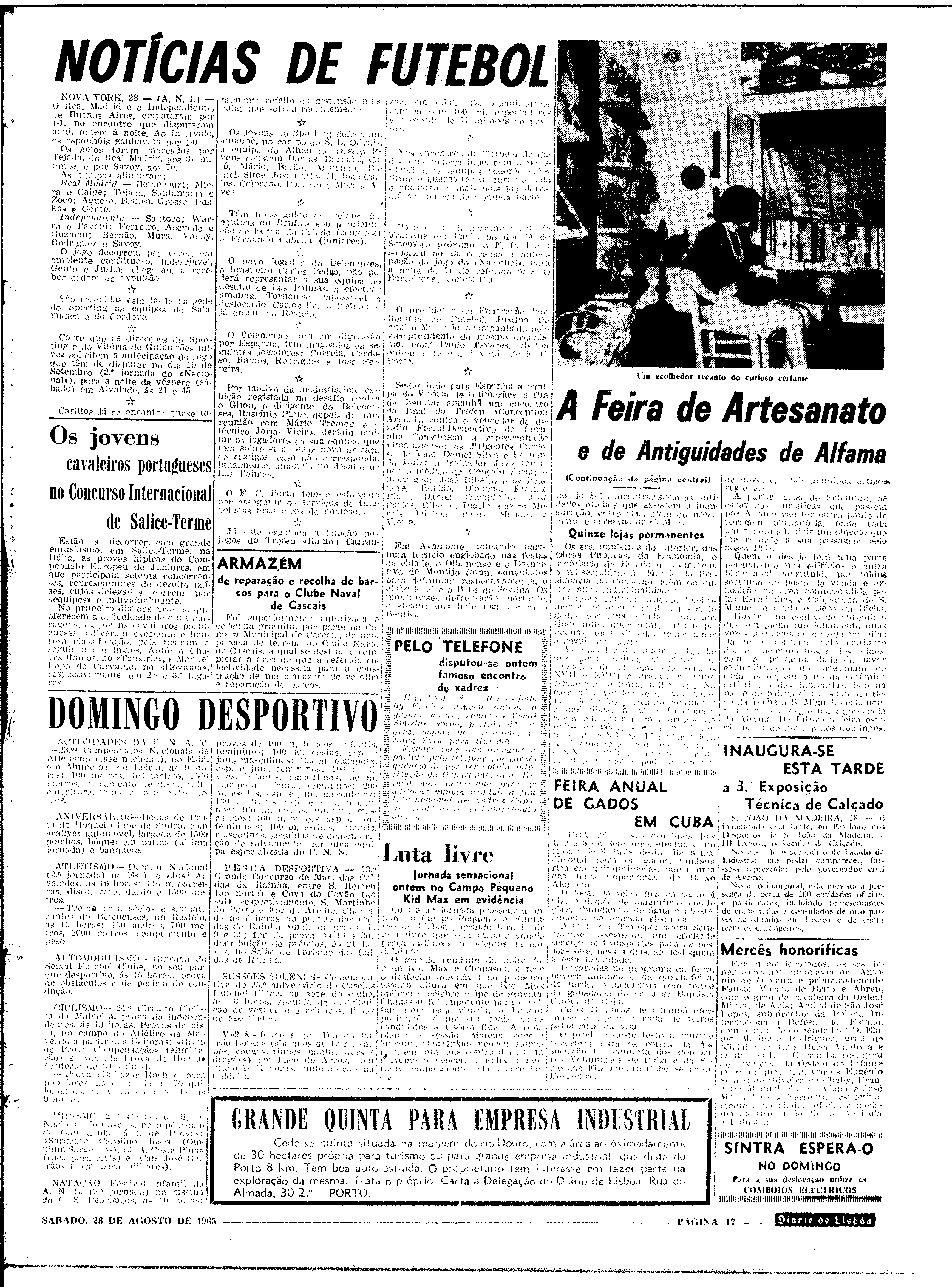 06562.100.19795- pag.17