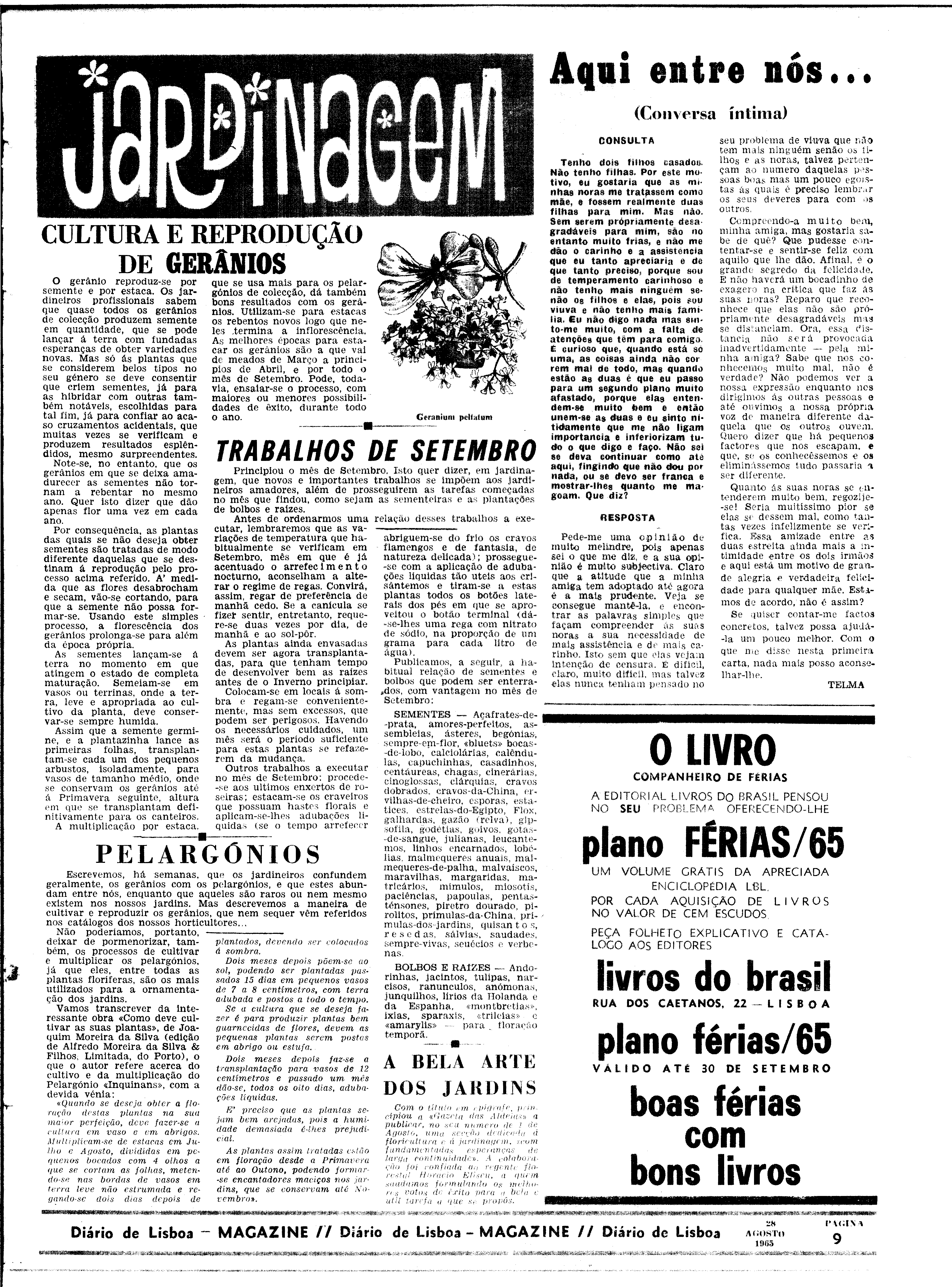 06562.100.19795- pag.29