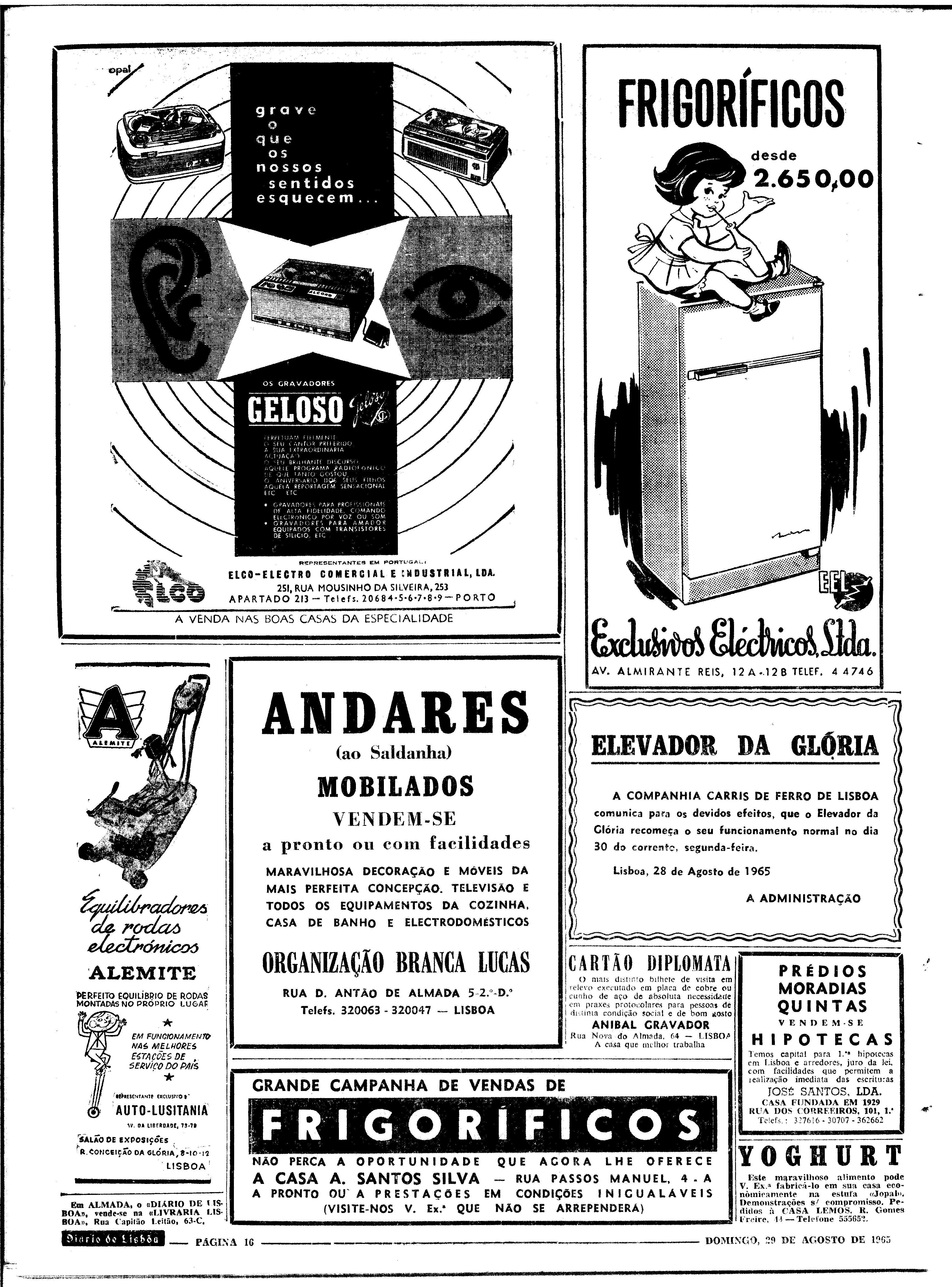 06562.100.19798- pag.16