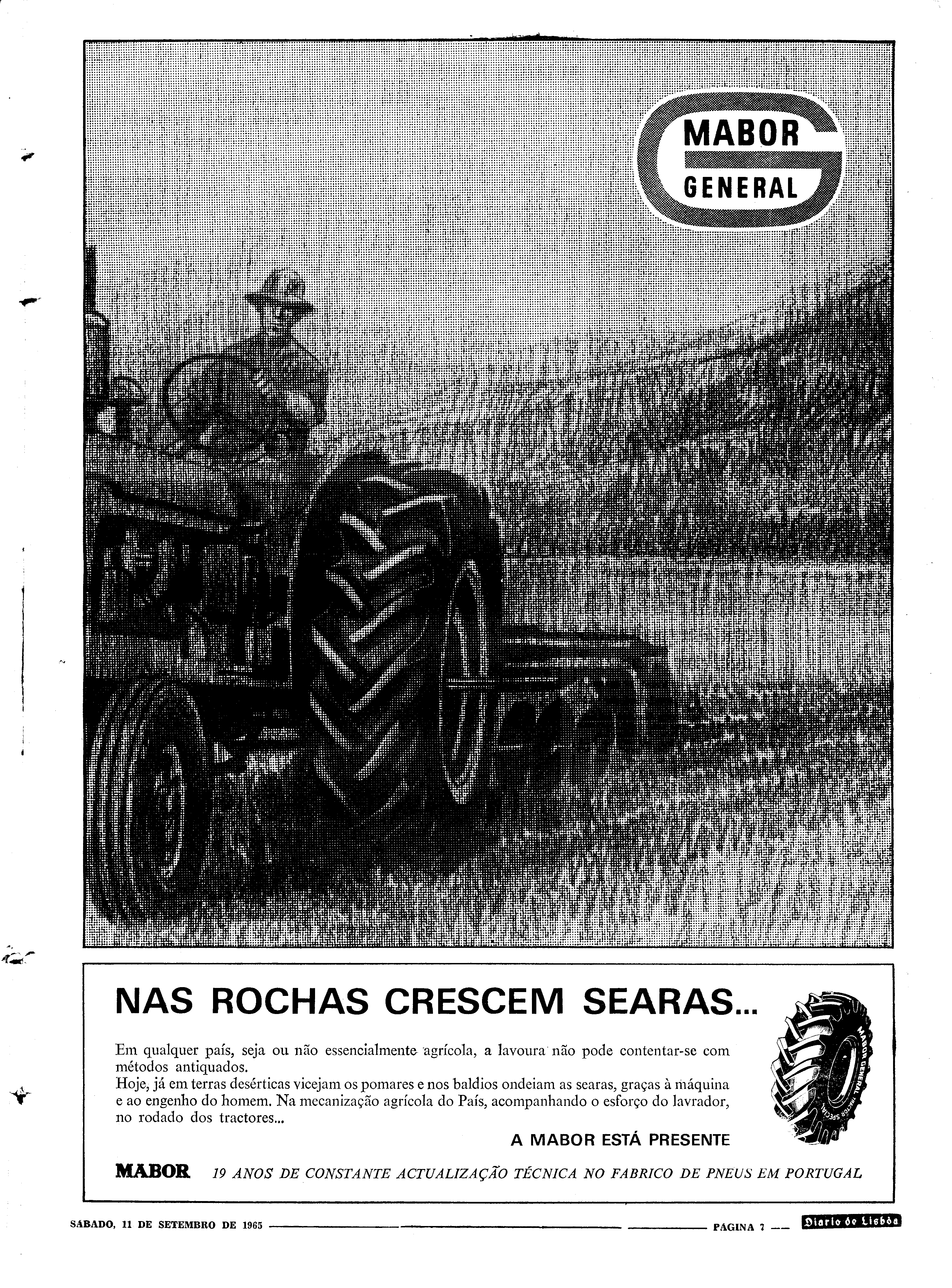 06562.100.19823- pag.7